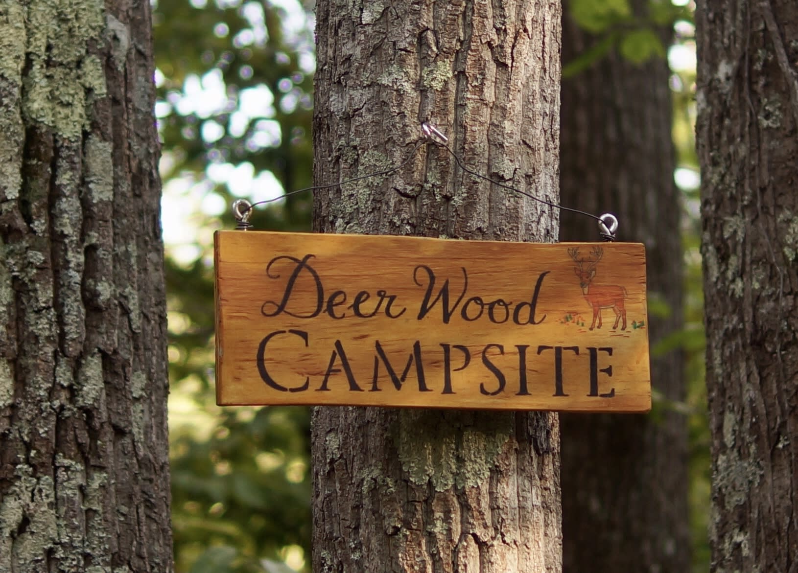 Deer Wood is perfectly named since deer have been spotted right in this location. Pitch a tent here and you will be surrounded  by nature.