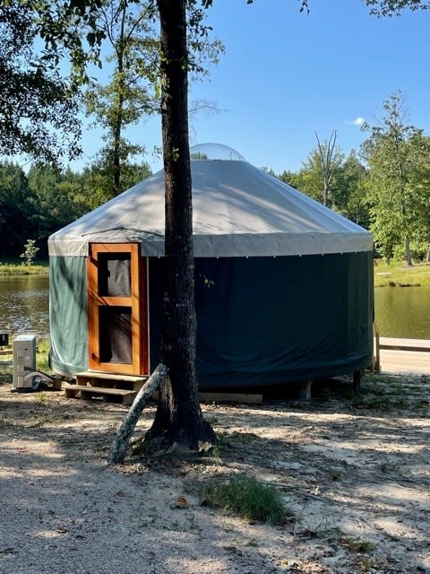 20 foot Yurt in Raleigh/5