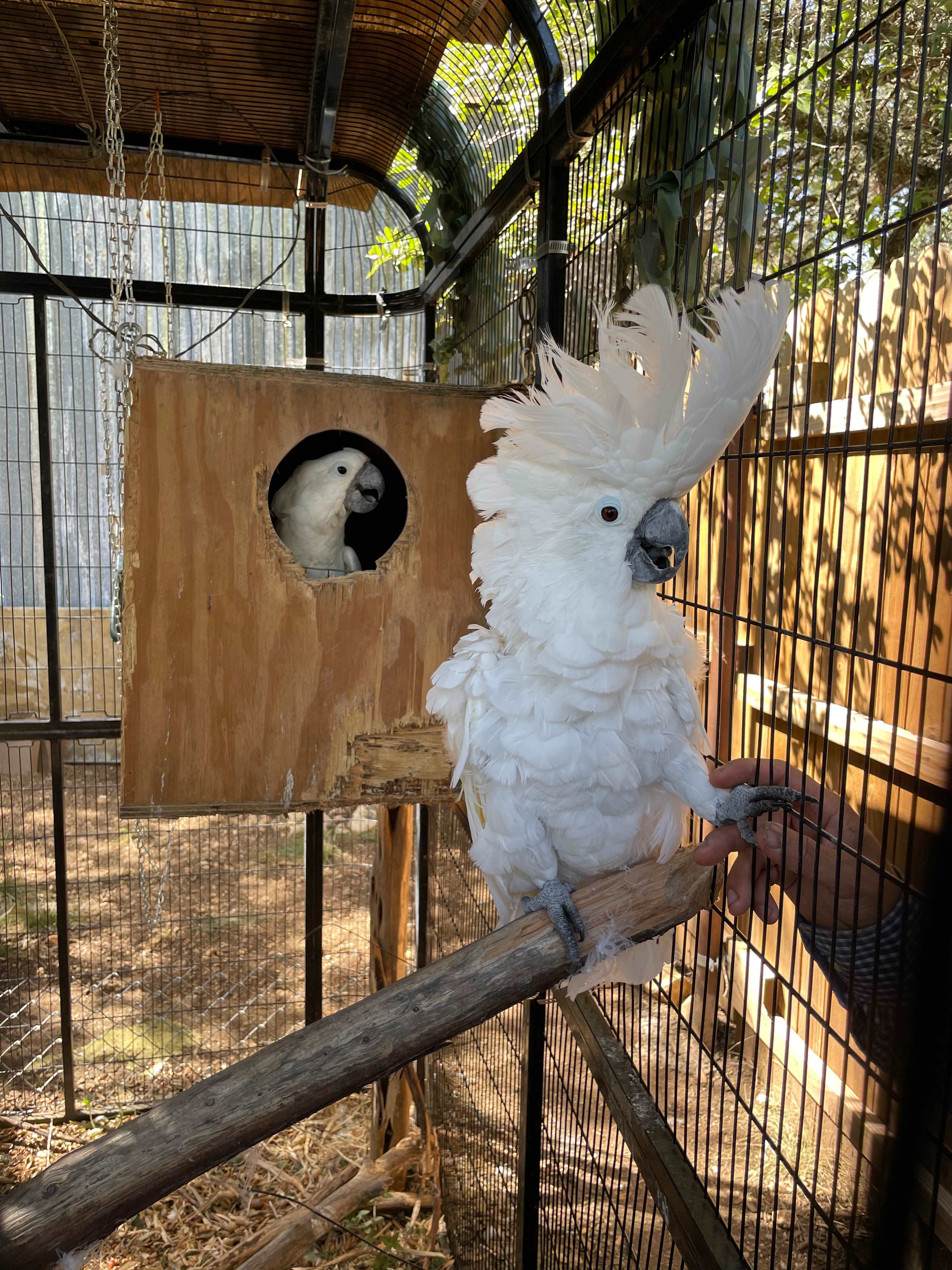 HomeAway Ranch & Wildlife Preserve