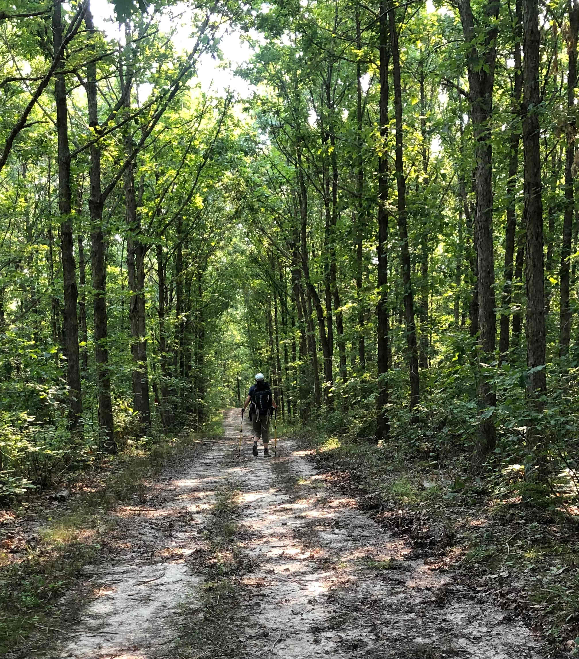 Beautiful trails 