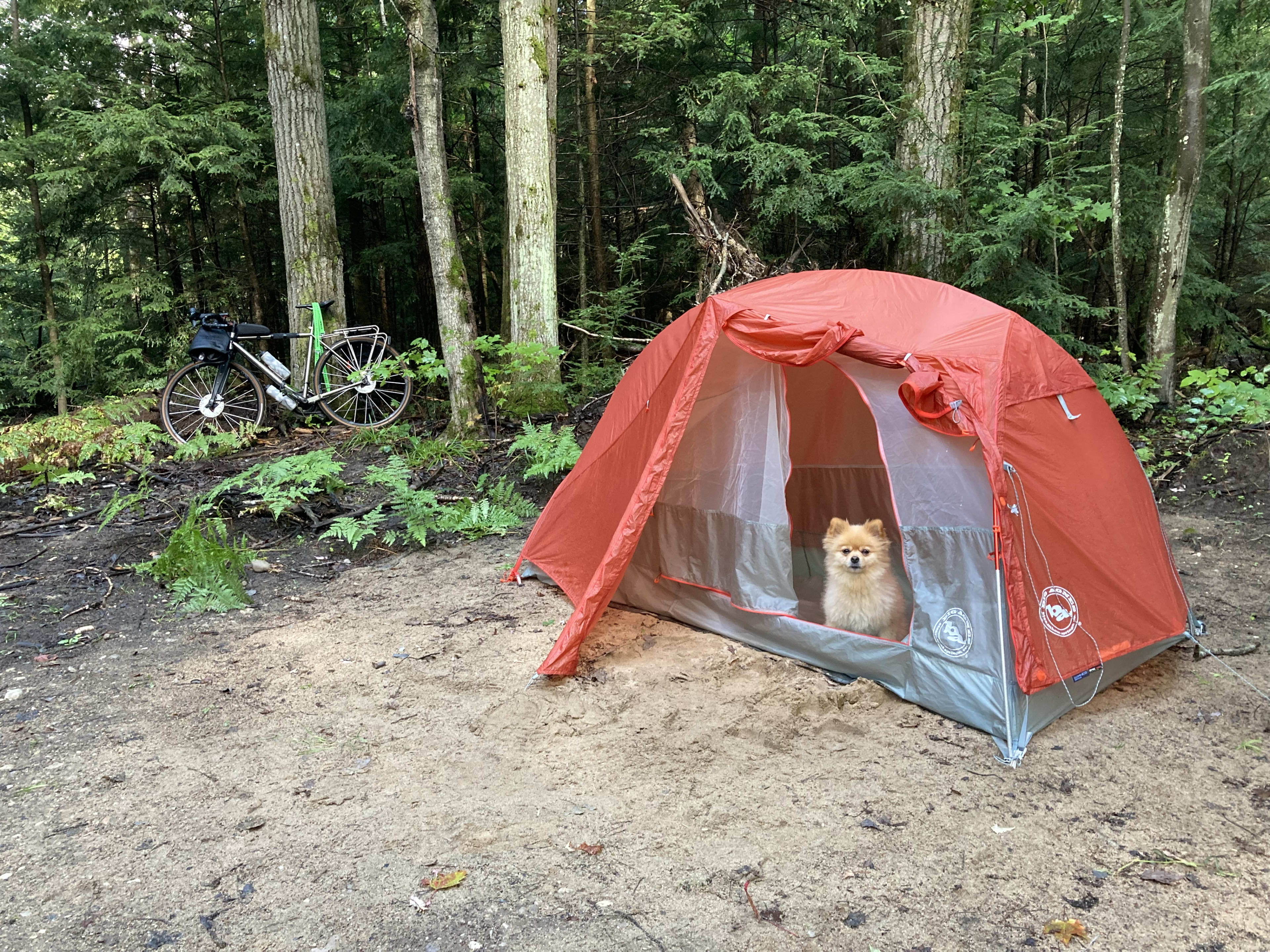Cedar Creek Forest Camping