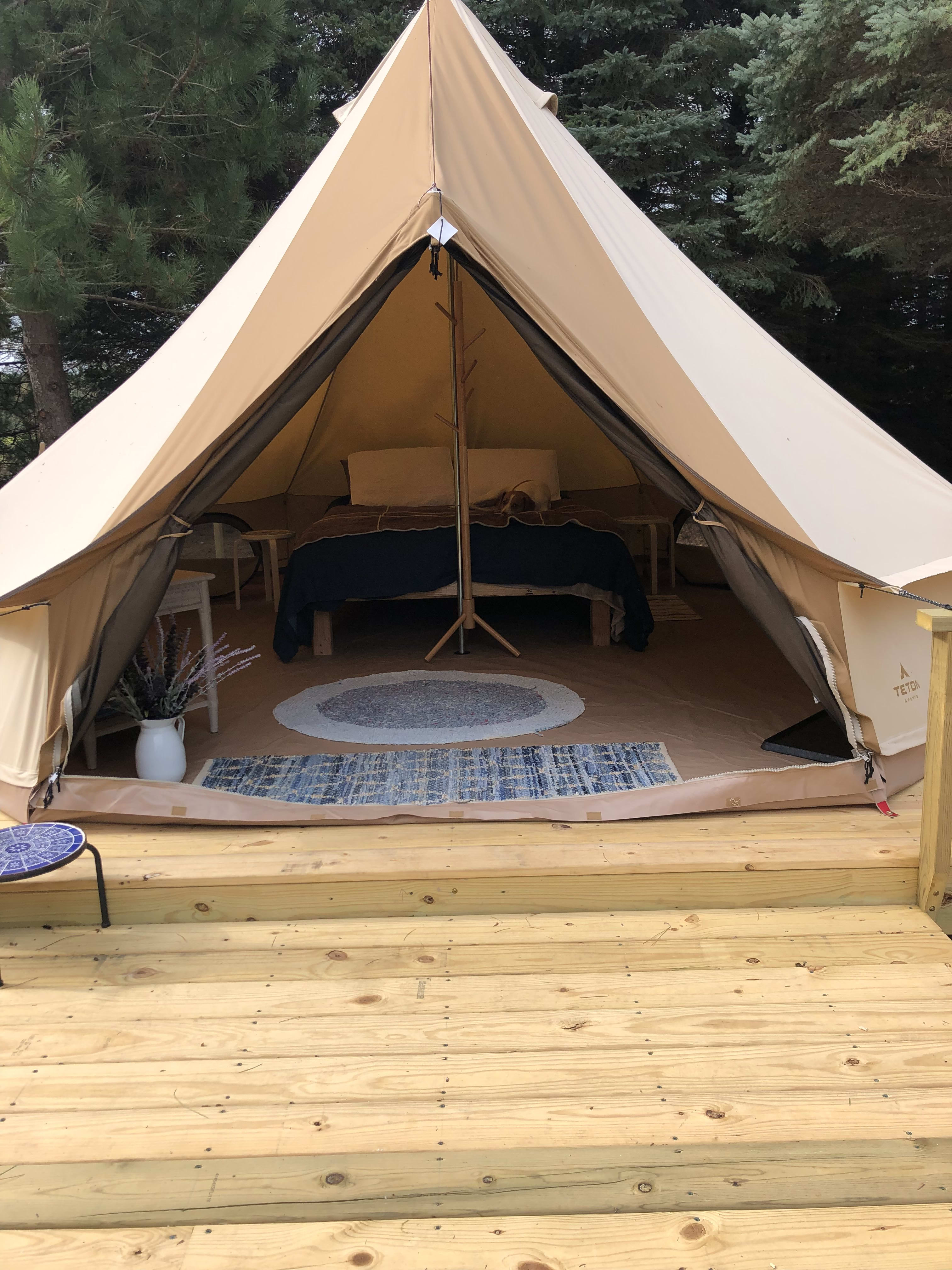Pine Forest Tent