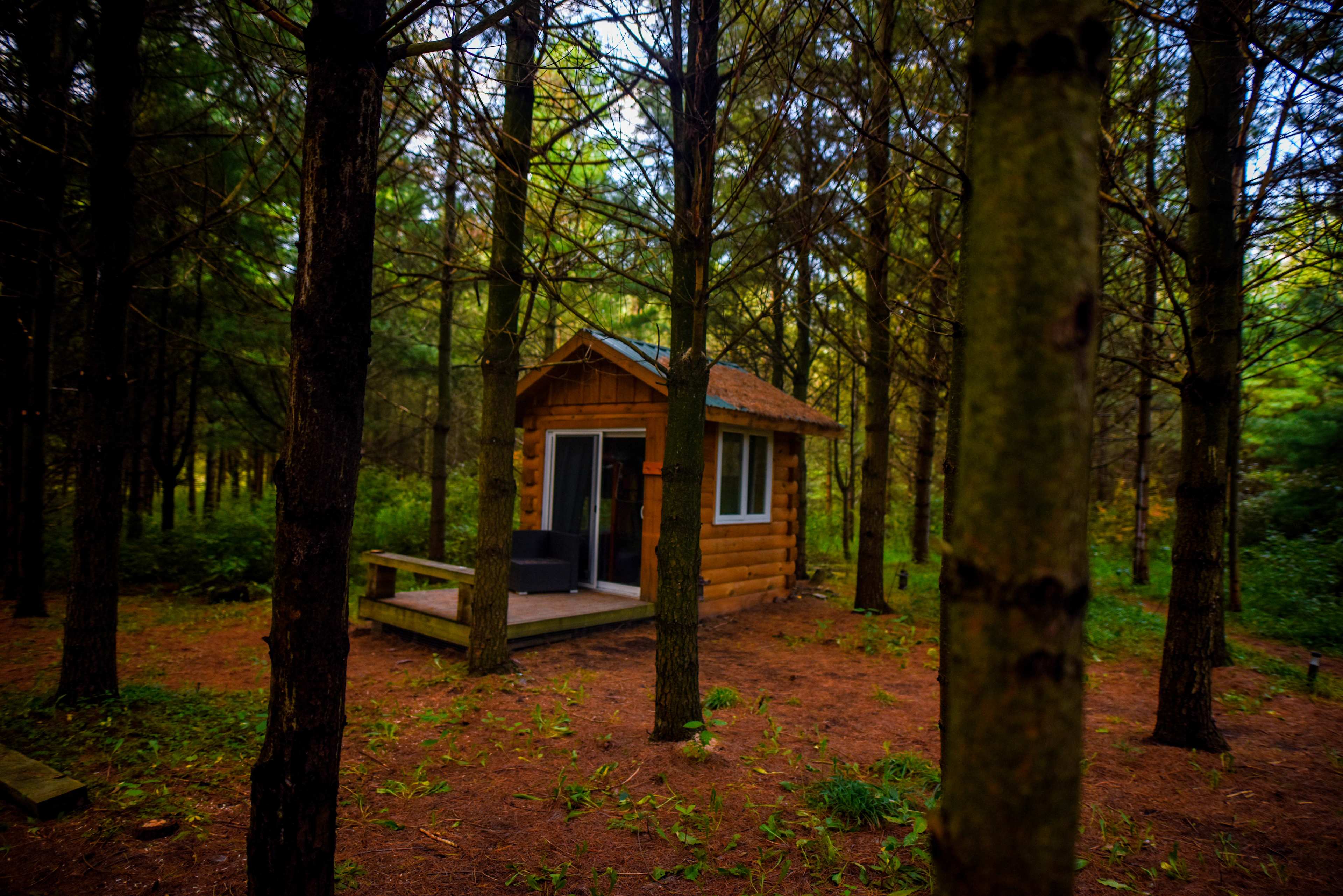 Bunkie