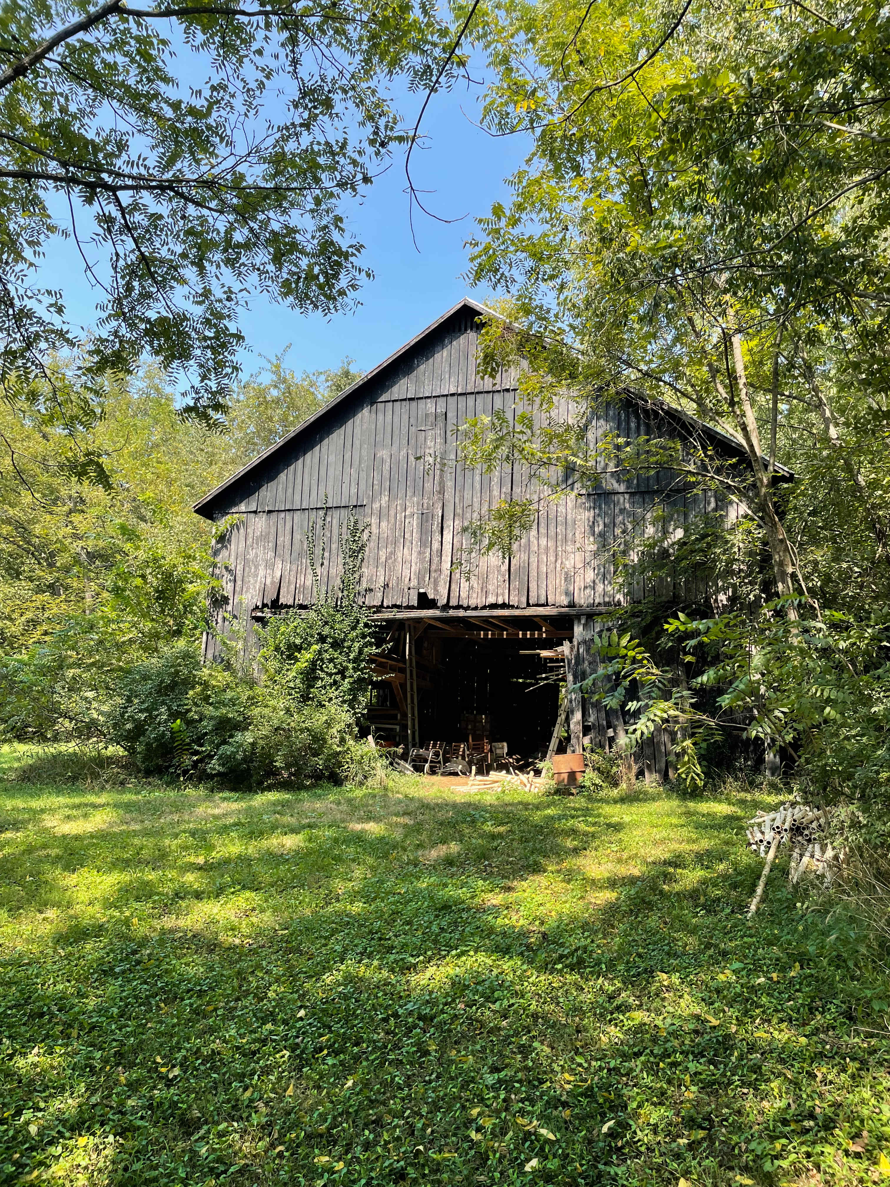 Farm and Forest