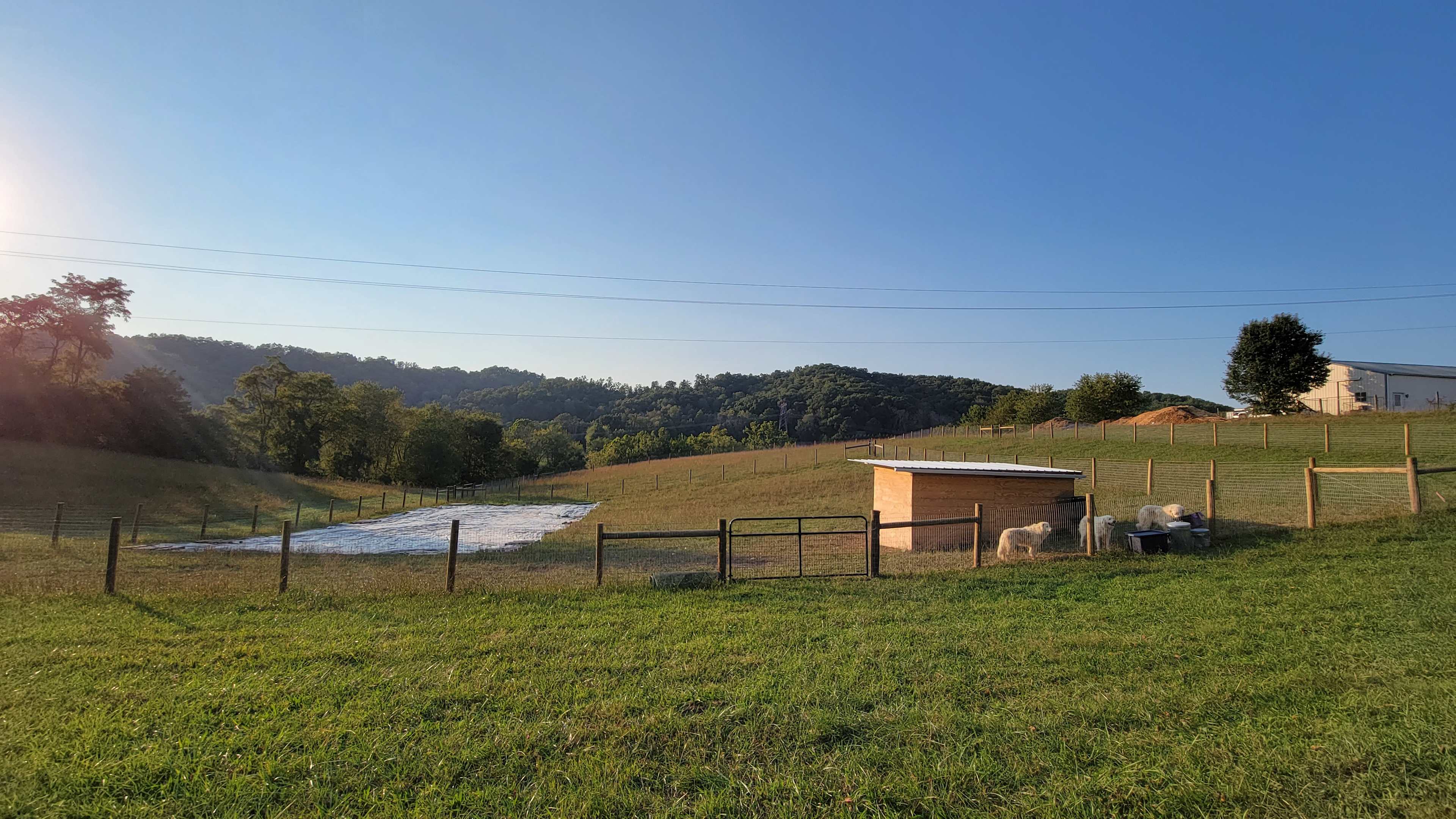 Picture of the site