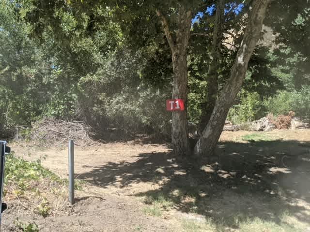 Banner Ranch Julian
