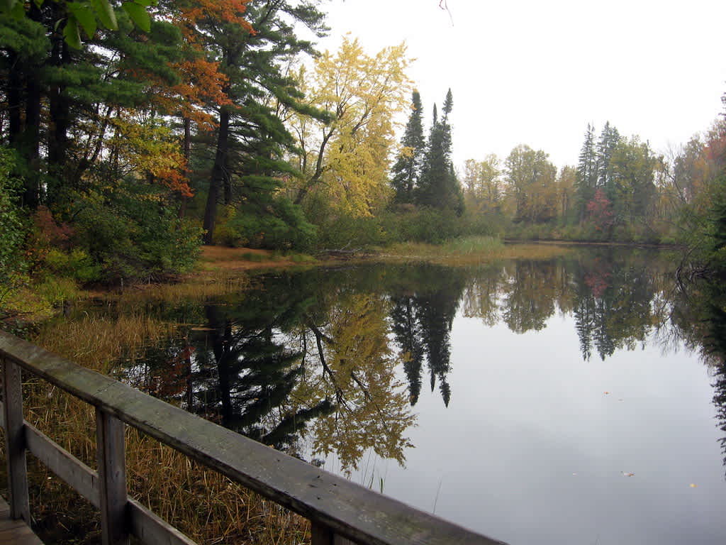 Bonnechere River Provincial Park