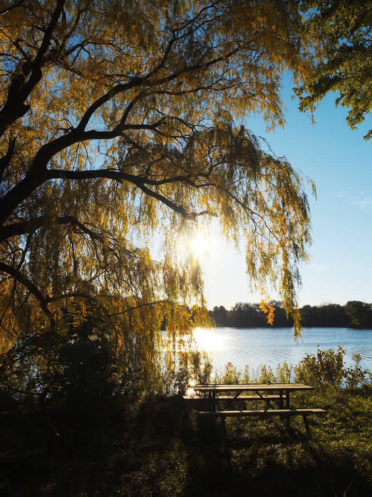 Earl Rowe Provincial Park