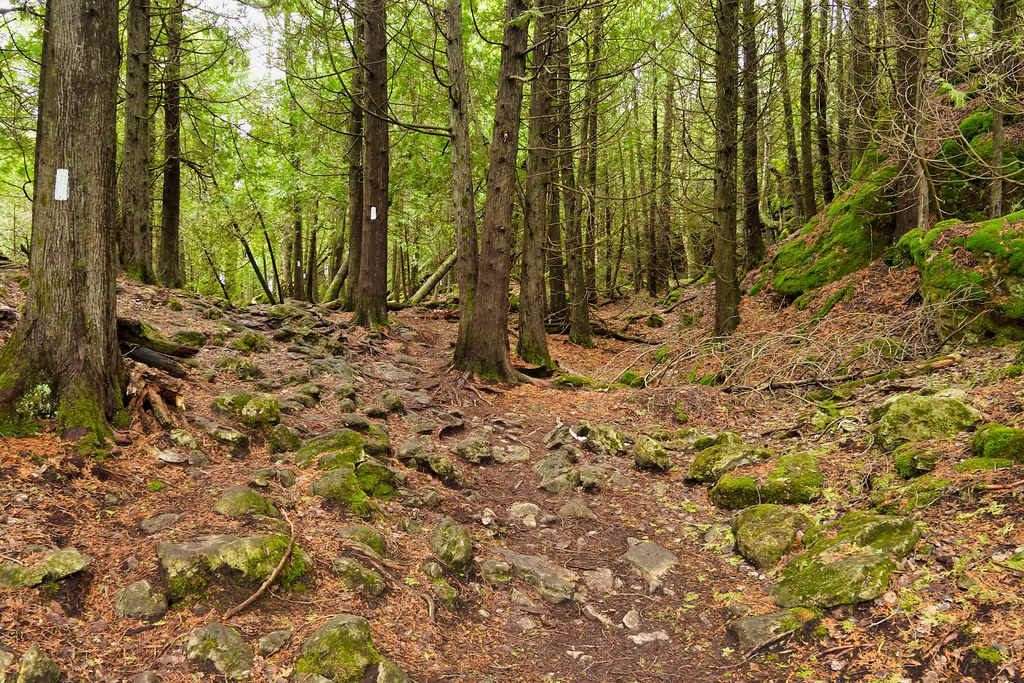 Lion's Head Provincial Park
