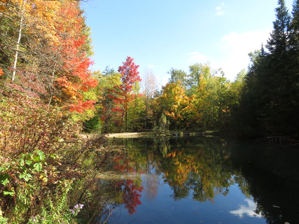 Mono Cliffs Provincial Park