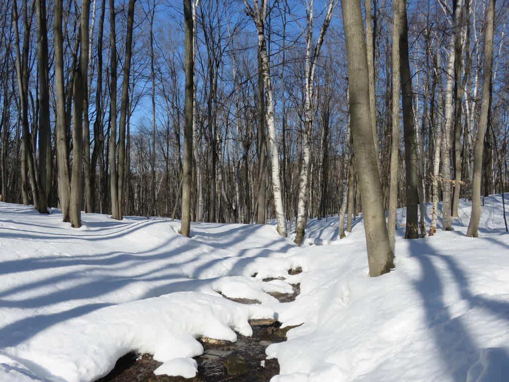 Nottawasaga Lookout Provincial Park