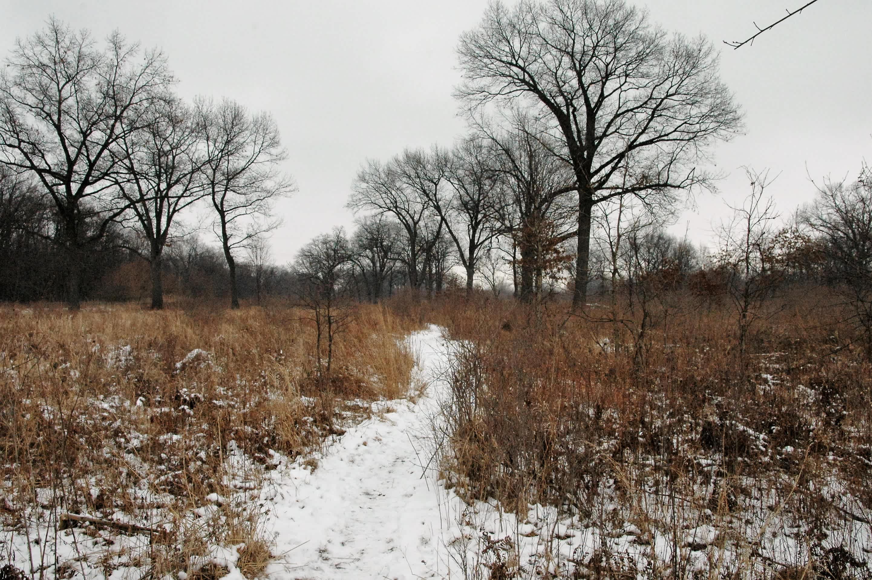 Ojibway Prairie Provincial Park