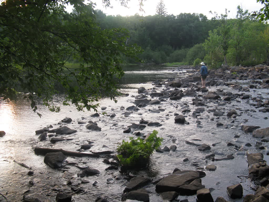 Oxtongue River-Ragged Falls Provincial Park