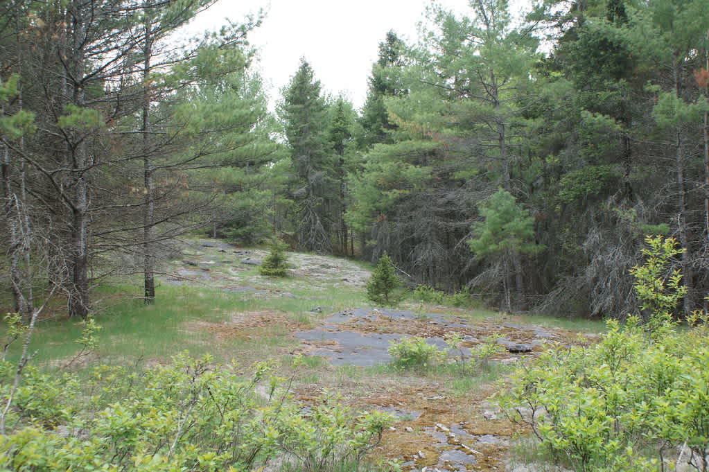 Petroglyphs Provincial Park
