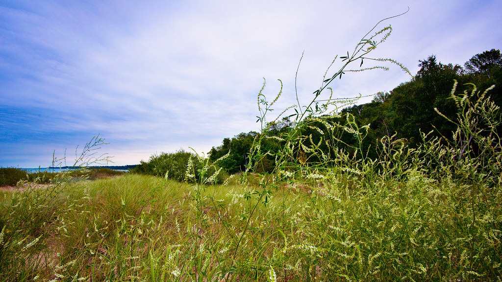 Point Farms Provincial Park