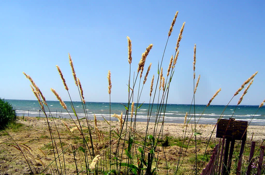 Presqu'ile Provincial Park