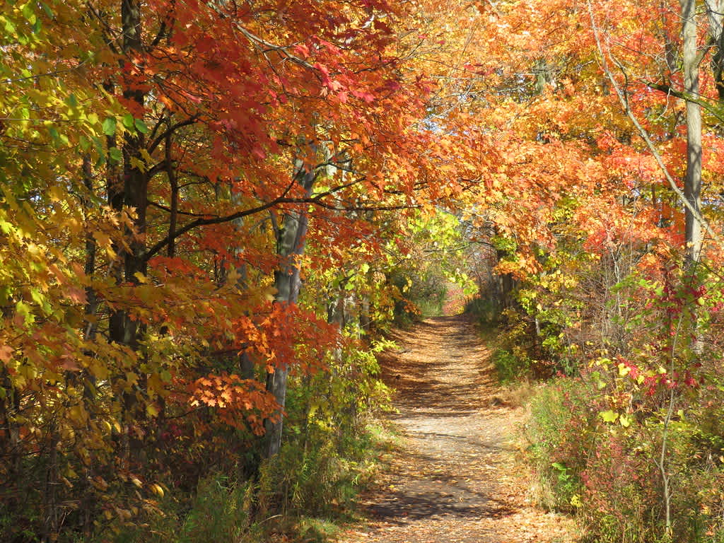 Short Hills Provincial Park