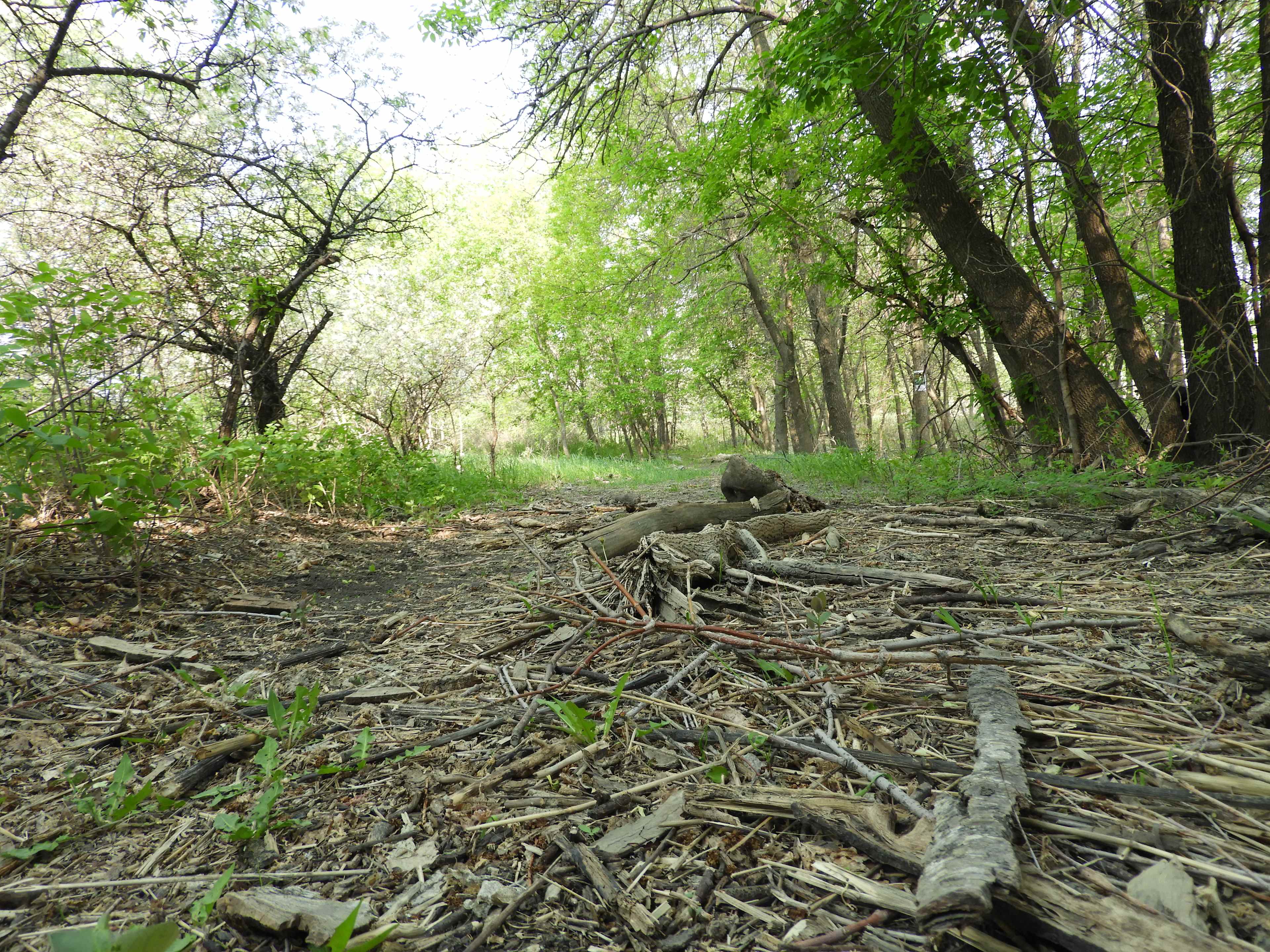 St. Norbert Provincial Park