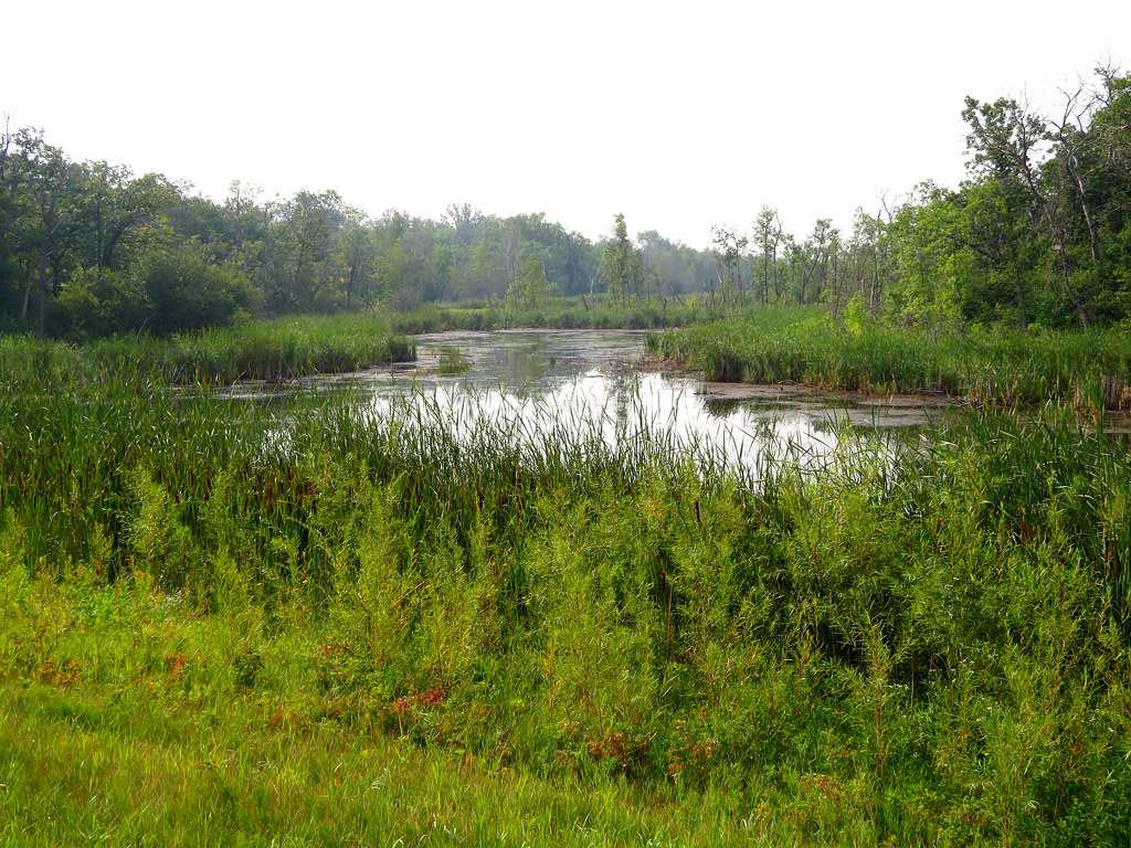 Turtle Mountain Provincial Park