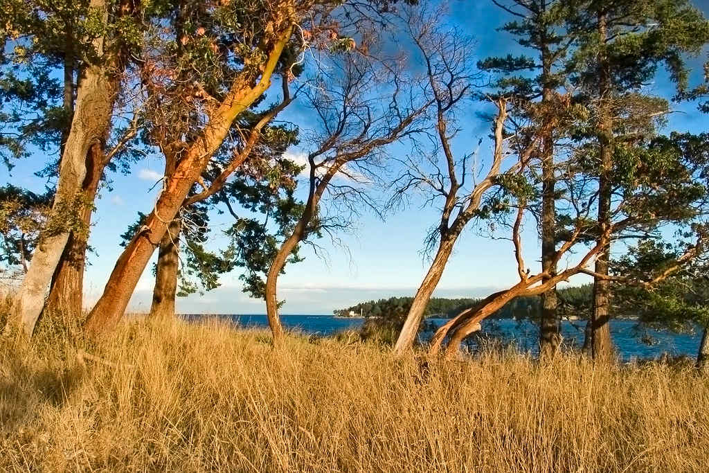 Bellhouse Provincial Park