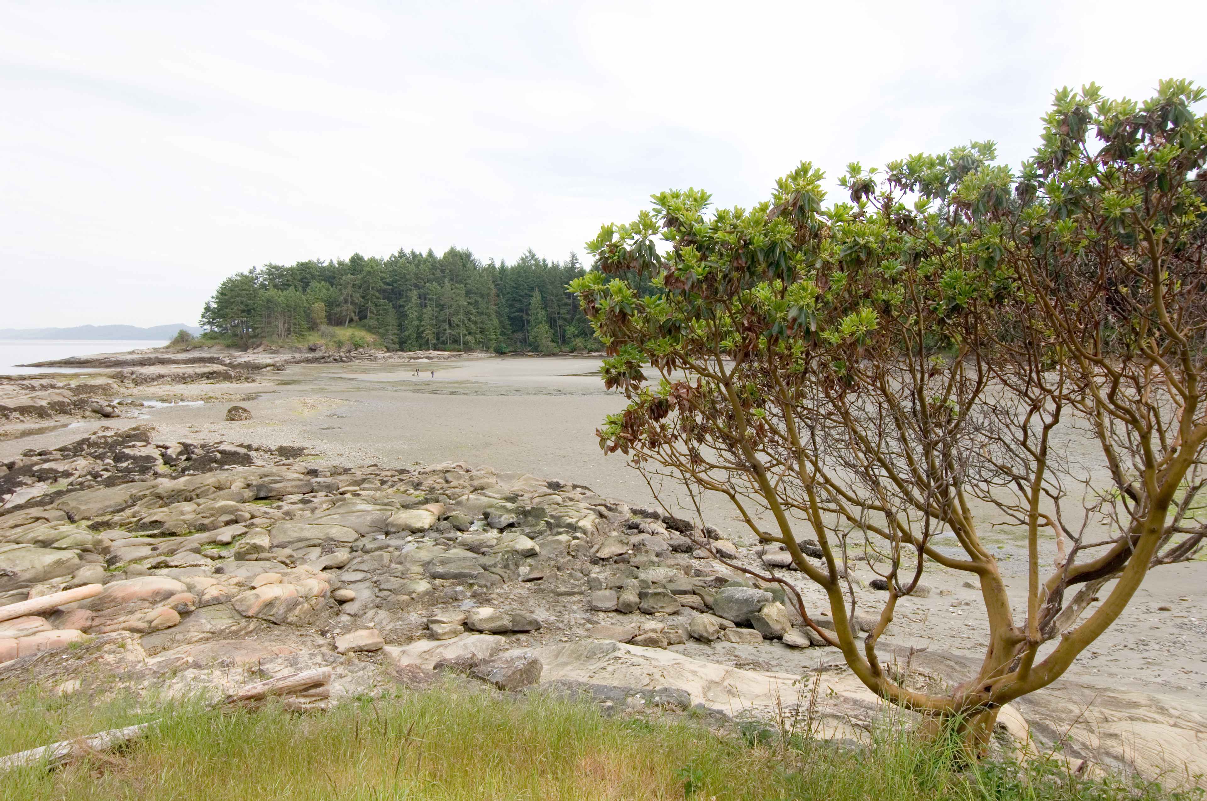 Dionisio Point Provincial Park