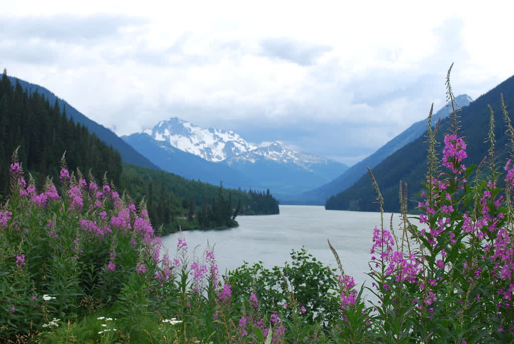 Duffey Lake Provincial Park
