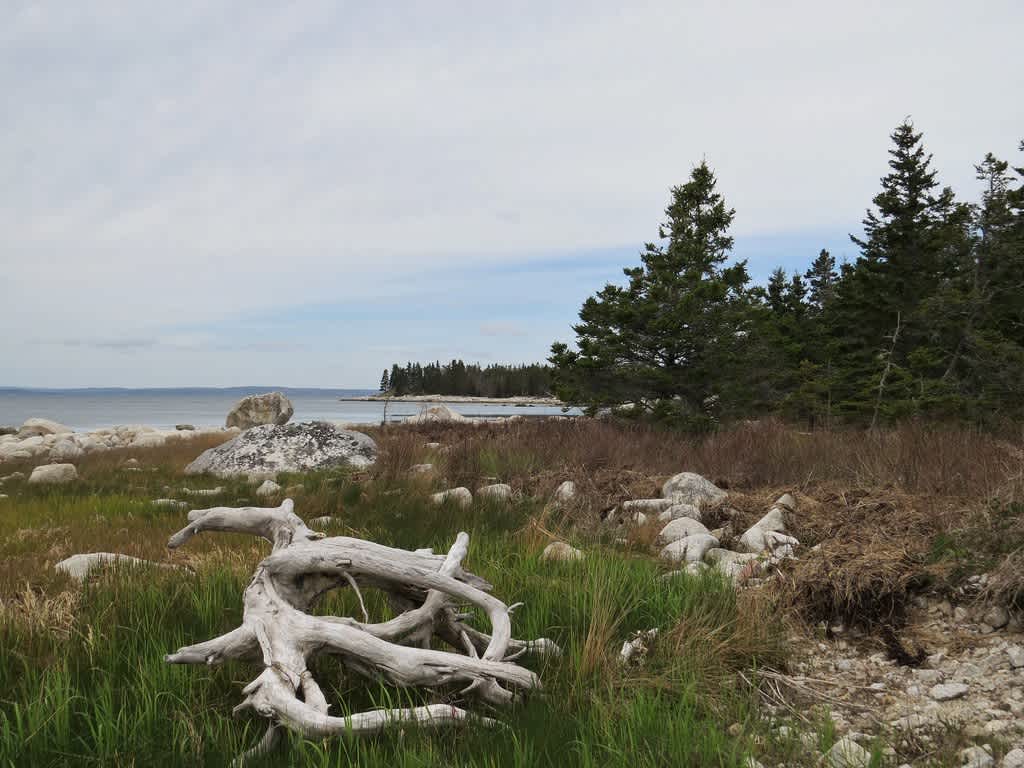 Black Duck Cove Provincial Park