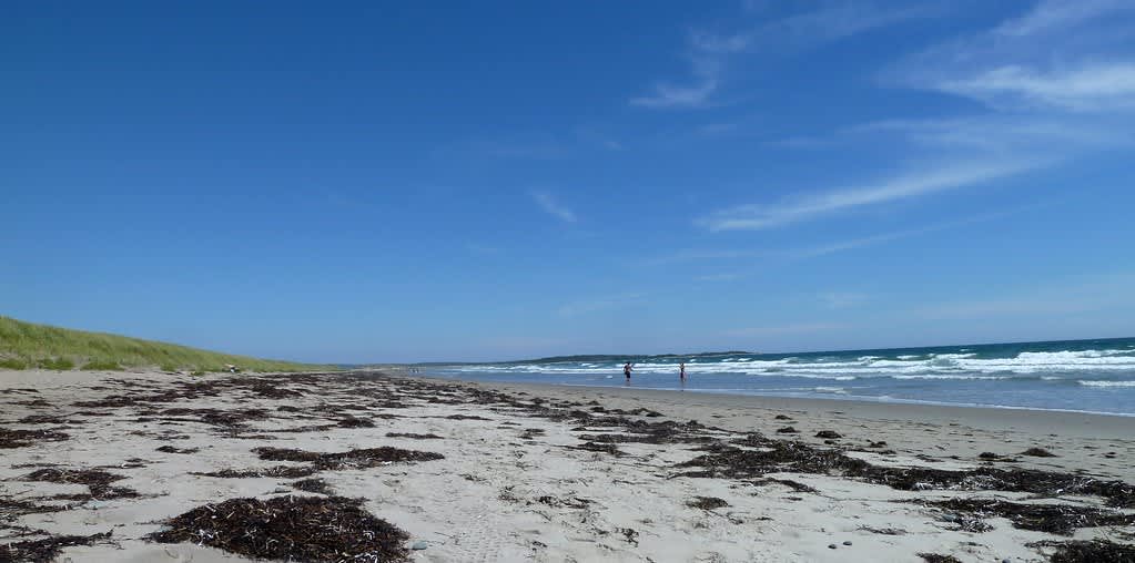 Martinique Beach Provincial Park