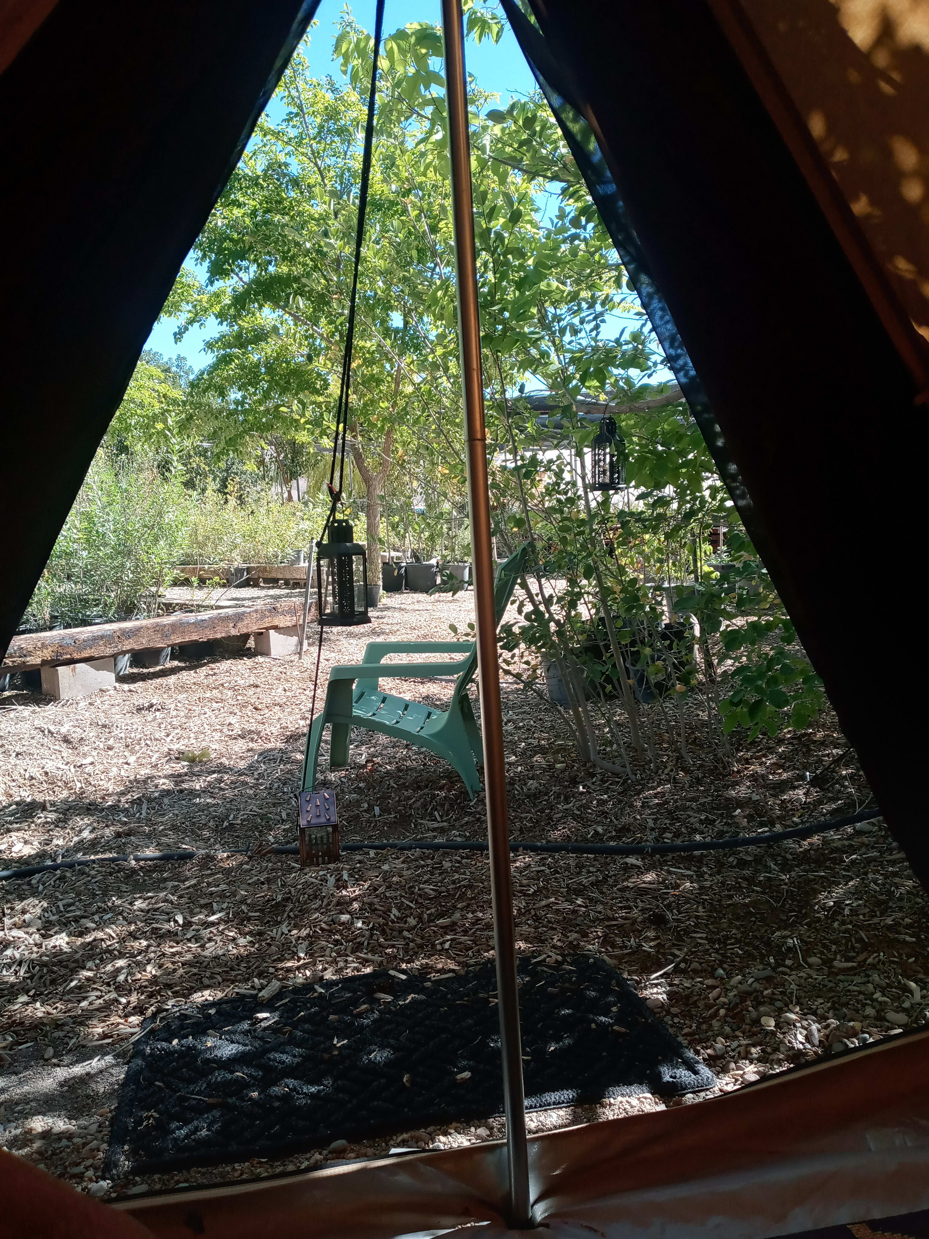 Bell Tent at Wildland Nursery