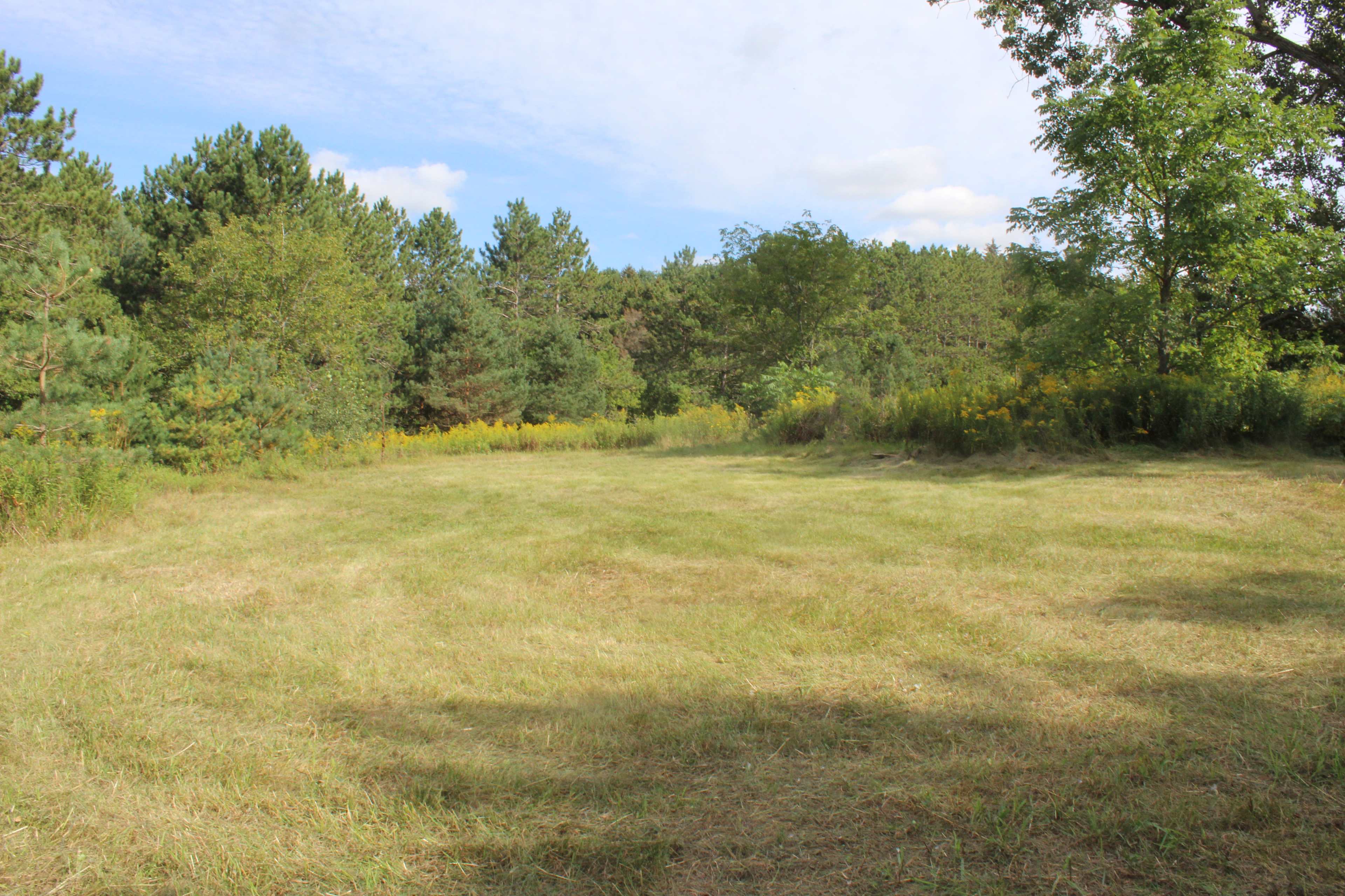 South view; left corner has opening to a short trail around approximately 3 acres of our property.