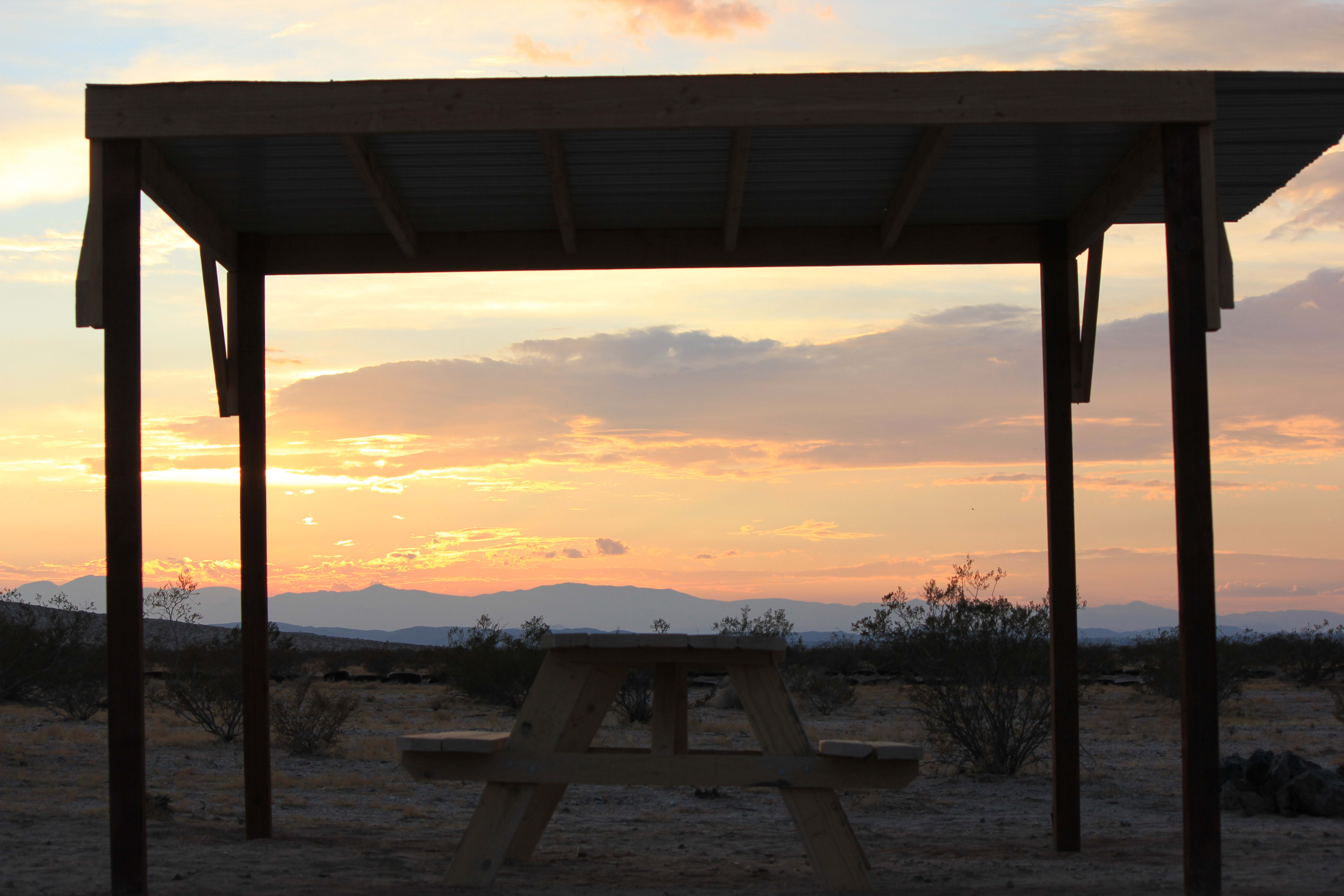 Evenings in the desert