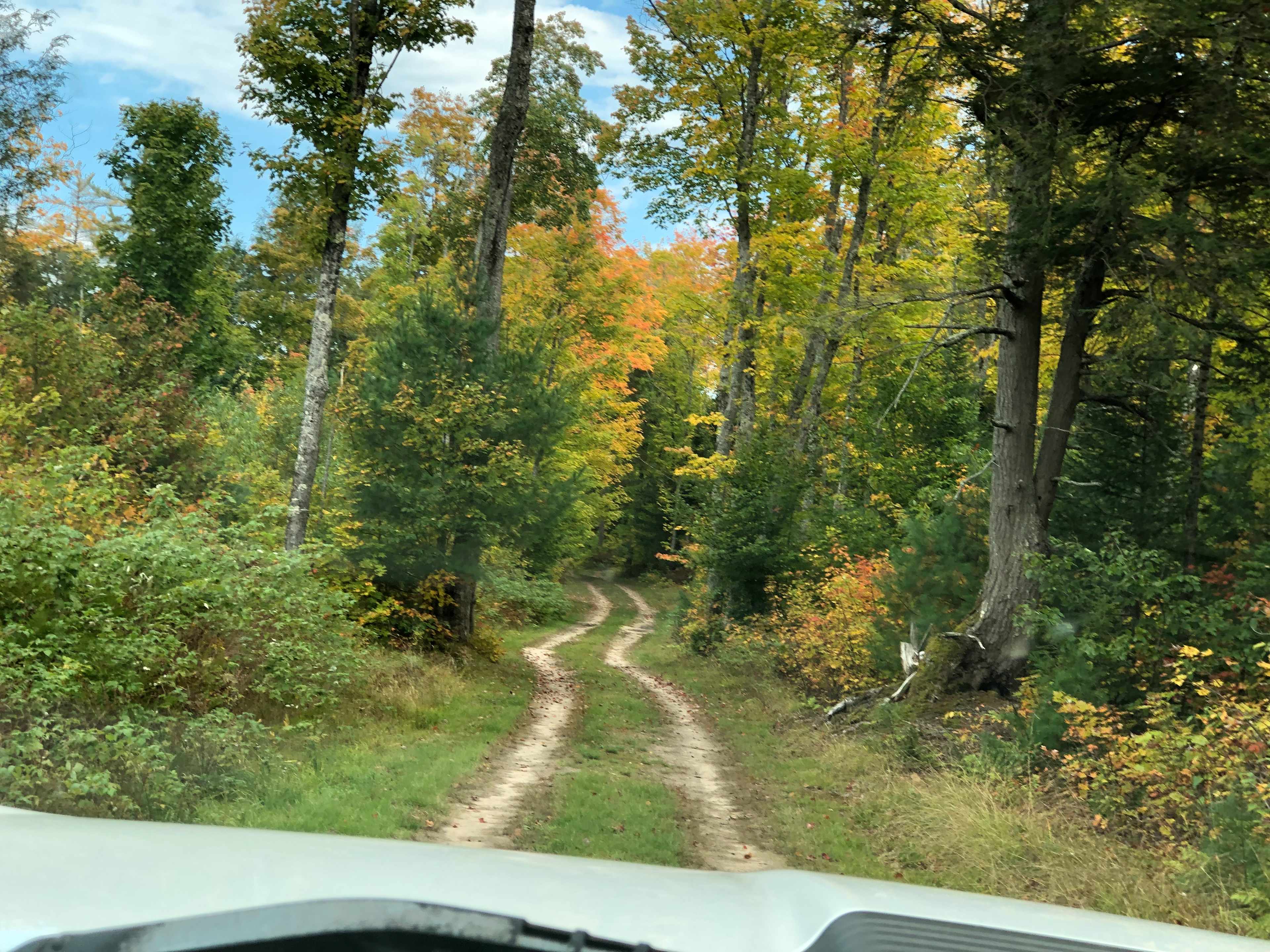 The sites are not to far back off the road but far enough not to be bothered.