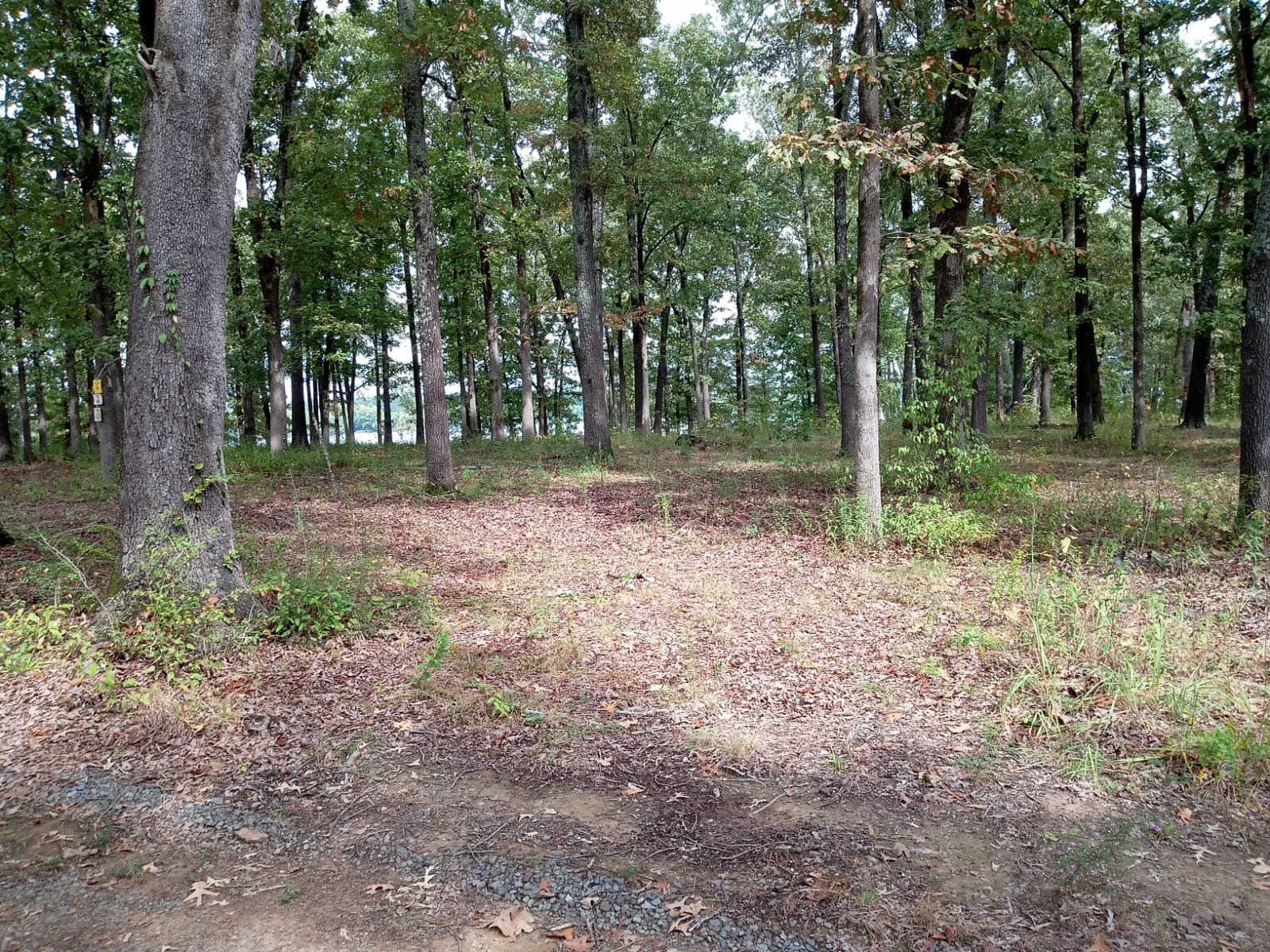 Lakeview Hide-away