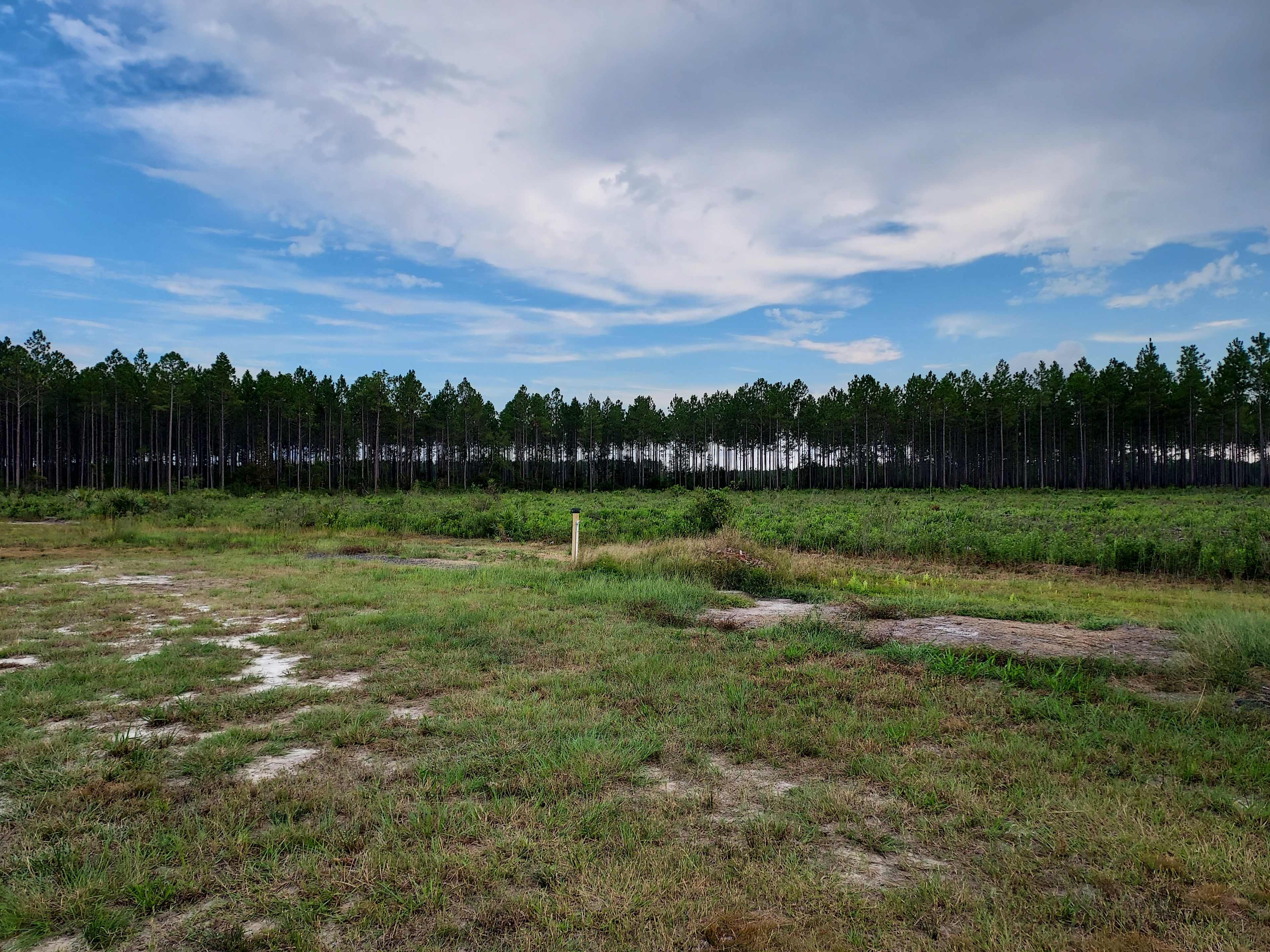 Camp Z Folkston