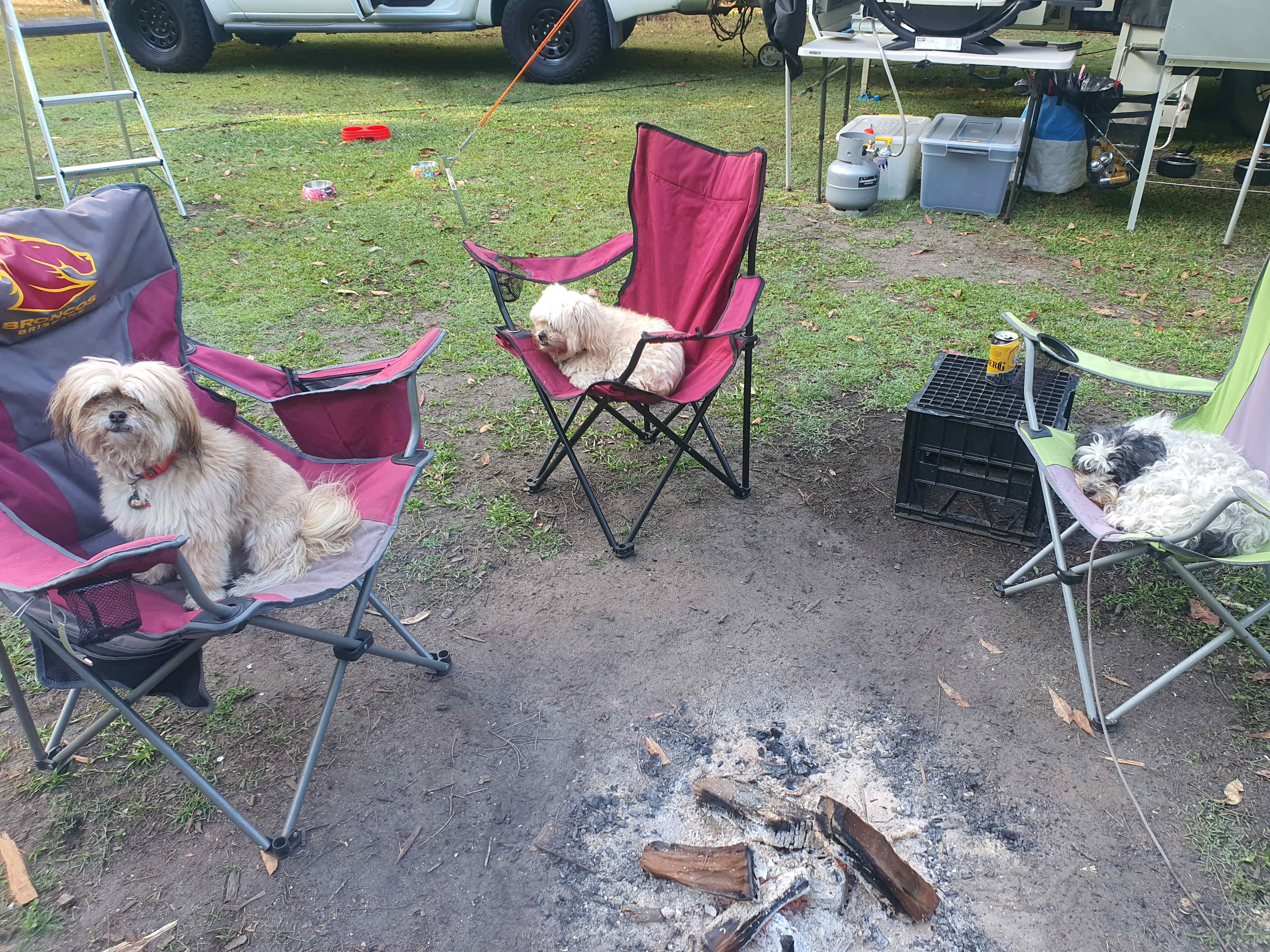 Warrego Warmblood Stud