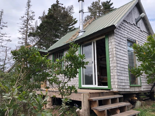 South side of cabin 