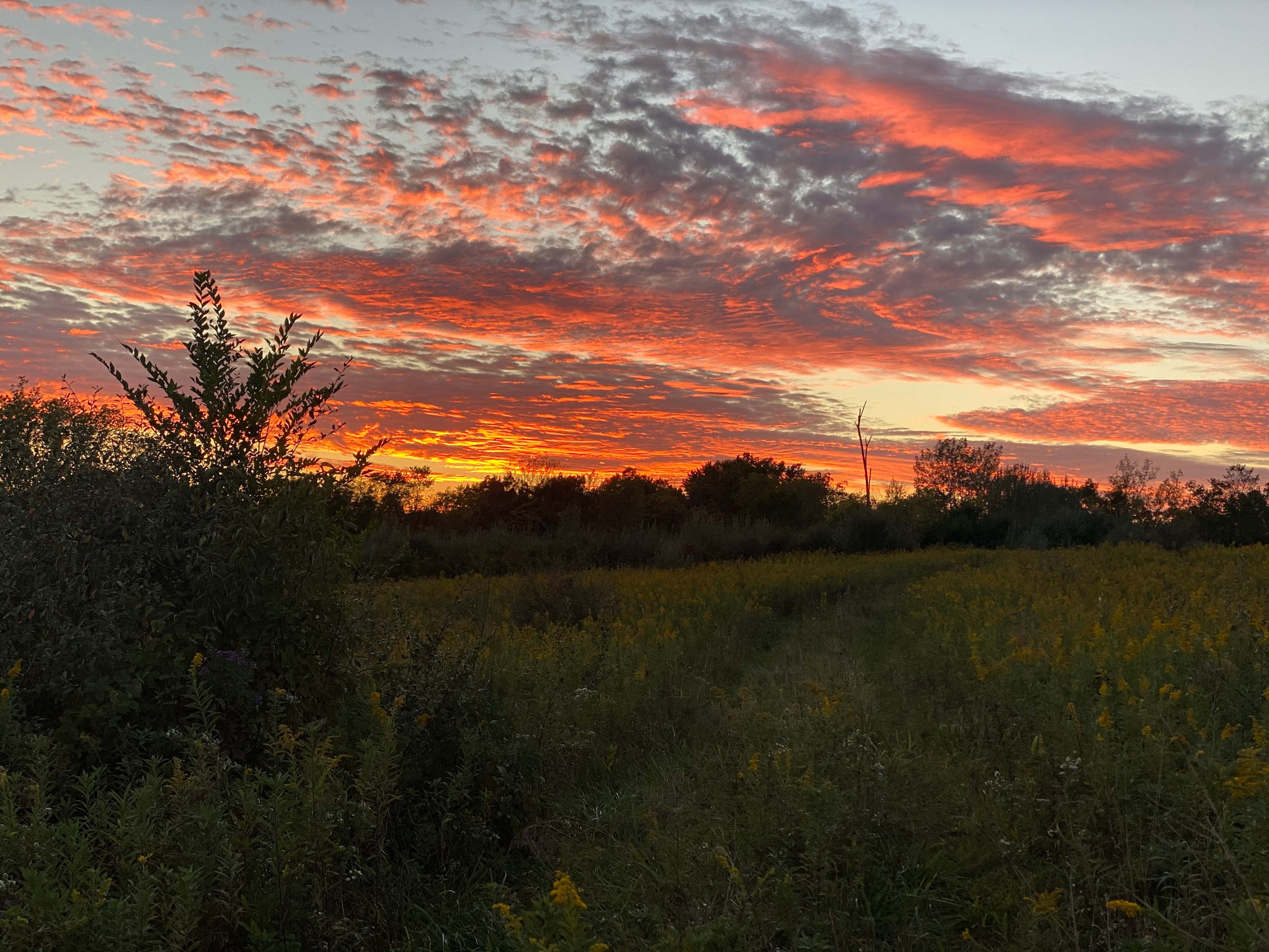 Camp Whispering Pines