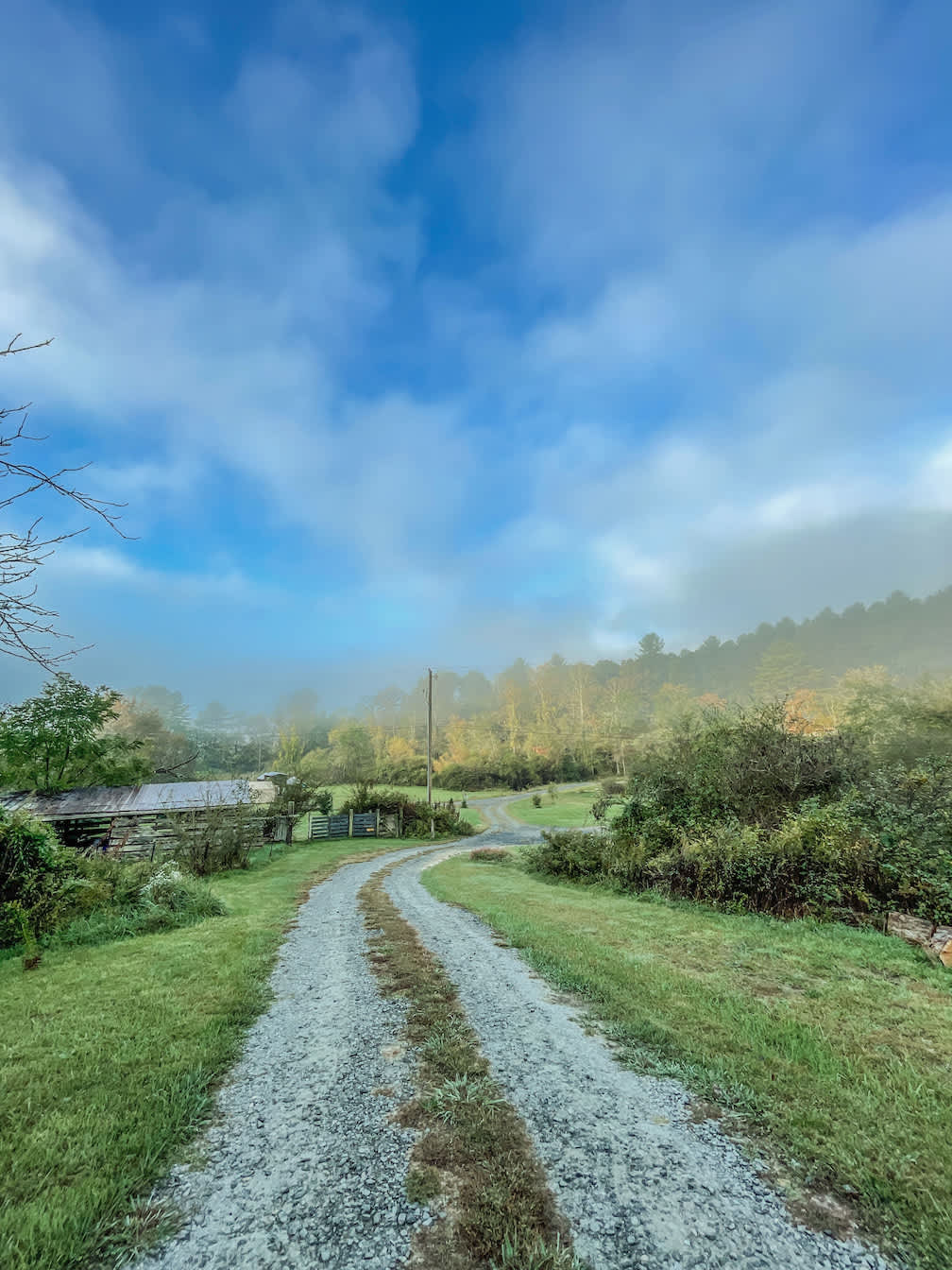 Pisgah Forest Mountain Meadows