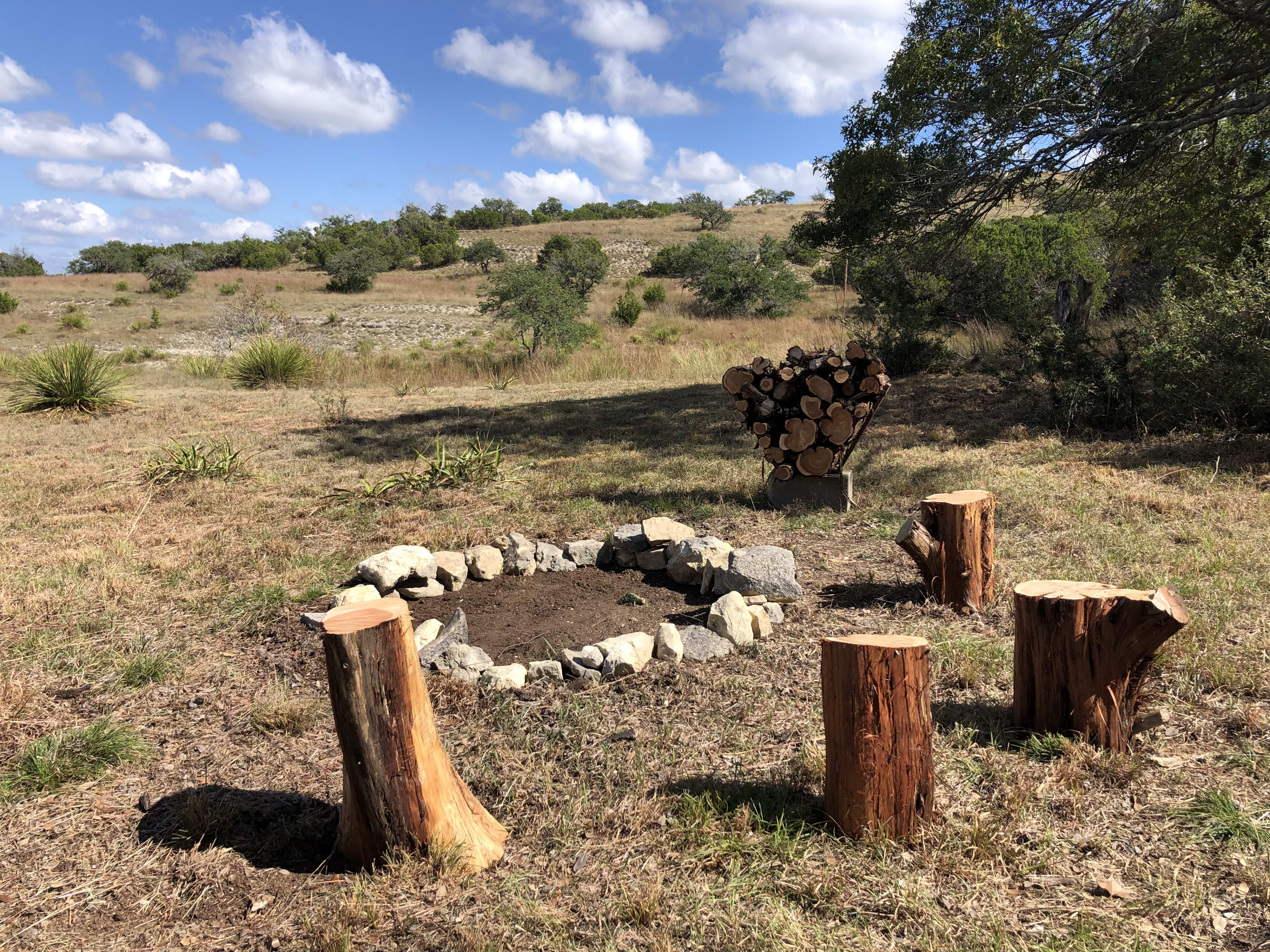 Campsite fire ring and cedar stump seats 
