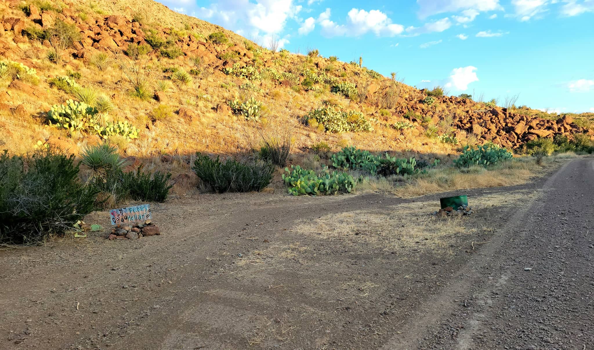 Picture of the site