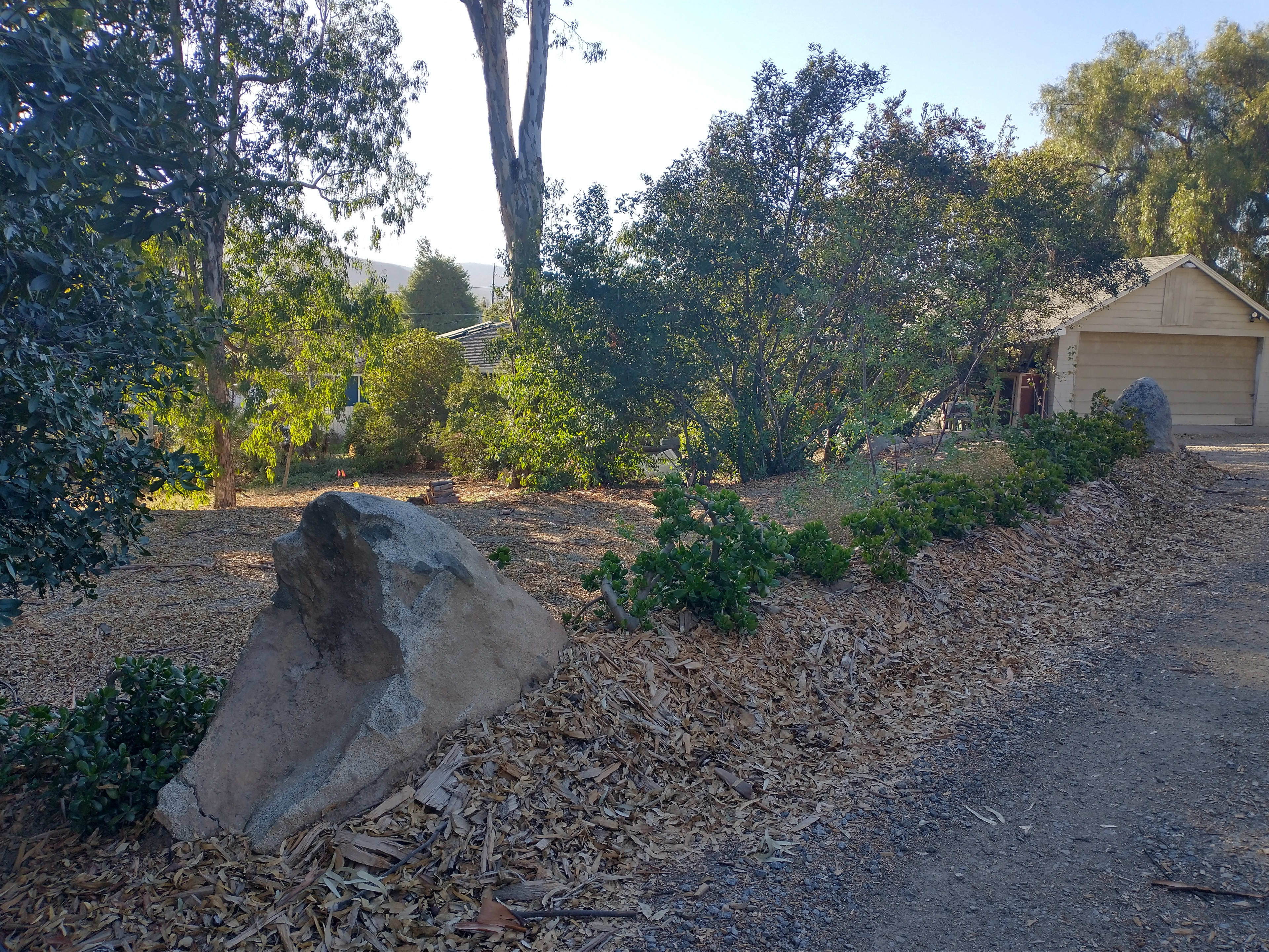 Leading up to driveway, the camp spot is on the left, behind this succulent wall.