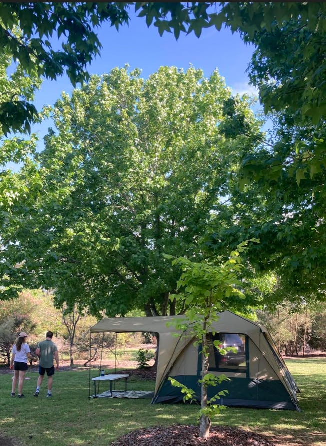 Silky Oaks Flower Farm