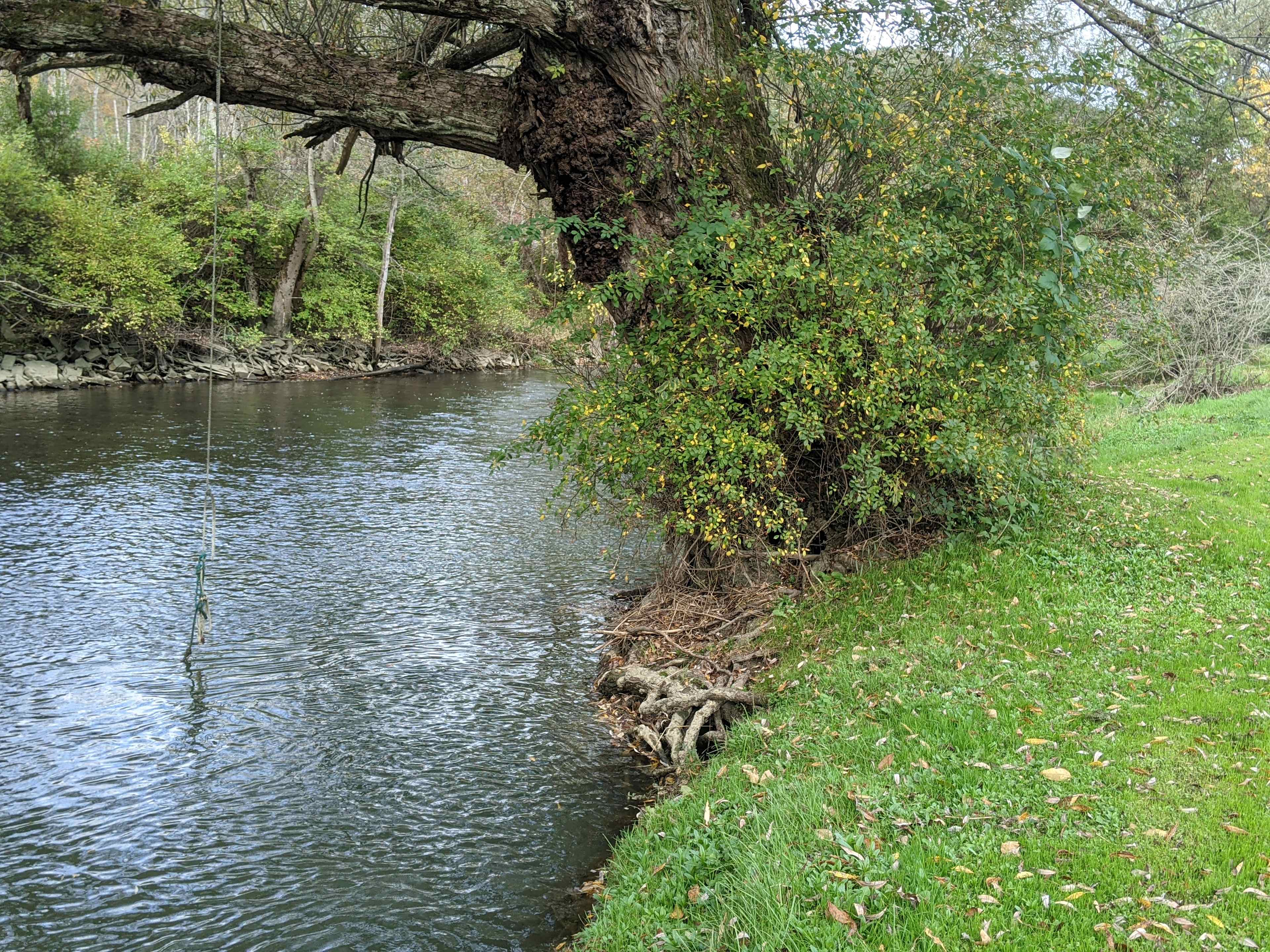 Ischua Creek looking north
