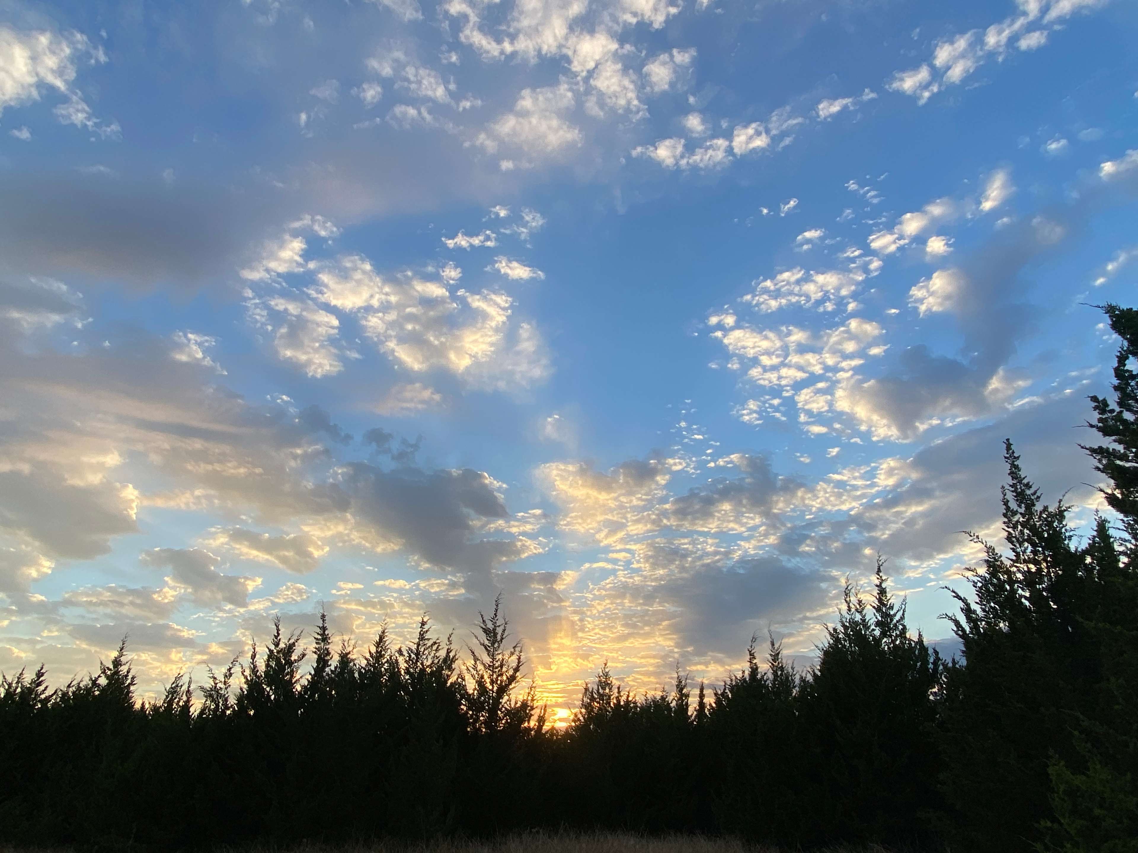 Sugar Hill Adventures, Farmersville