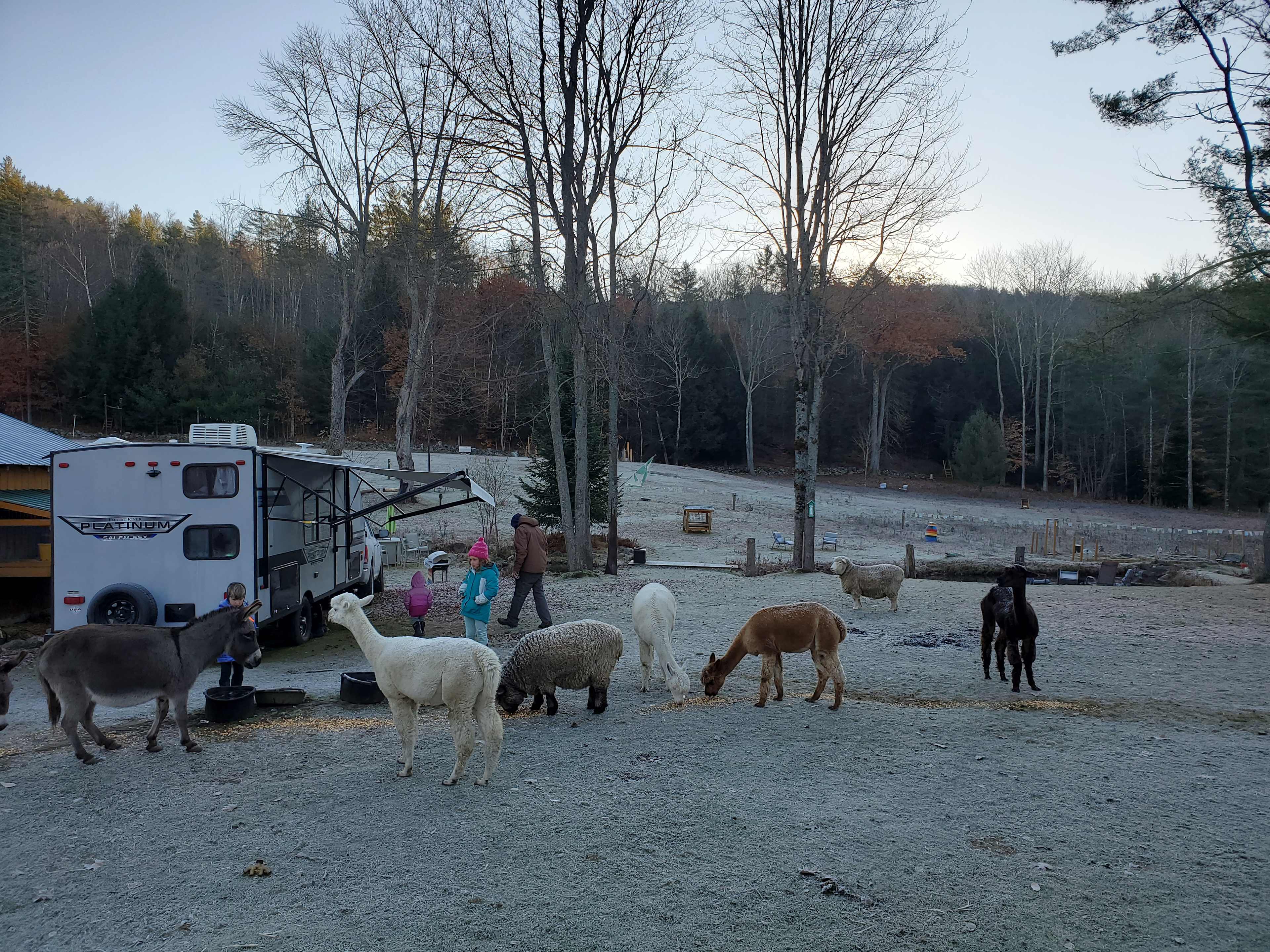 Willoughby Farm Animal Rescue