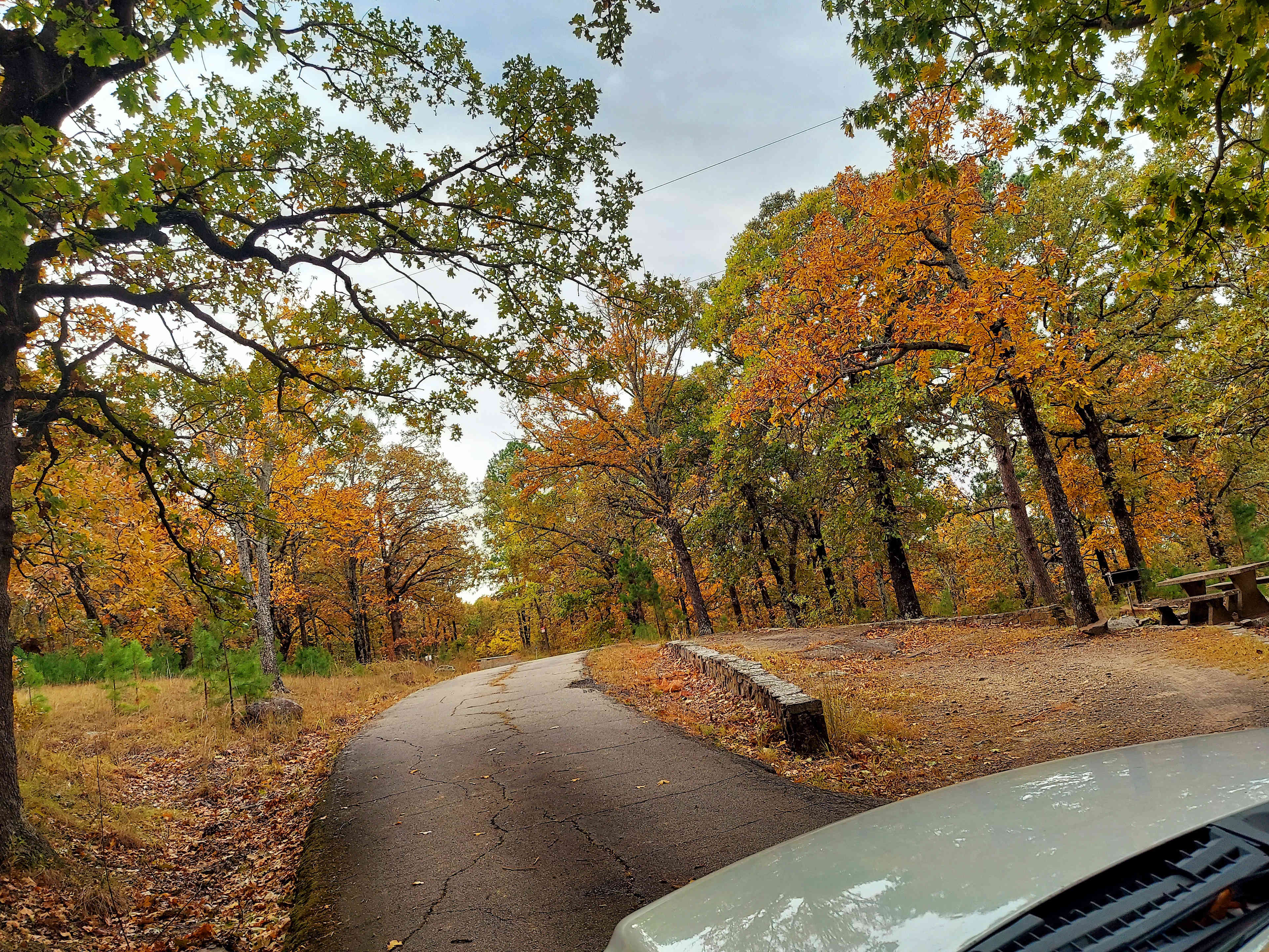 Campsite is pictured on the right side of the photo.