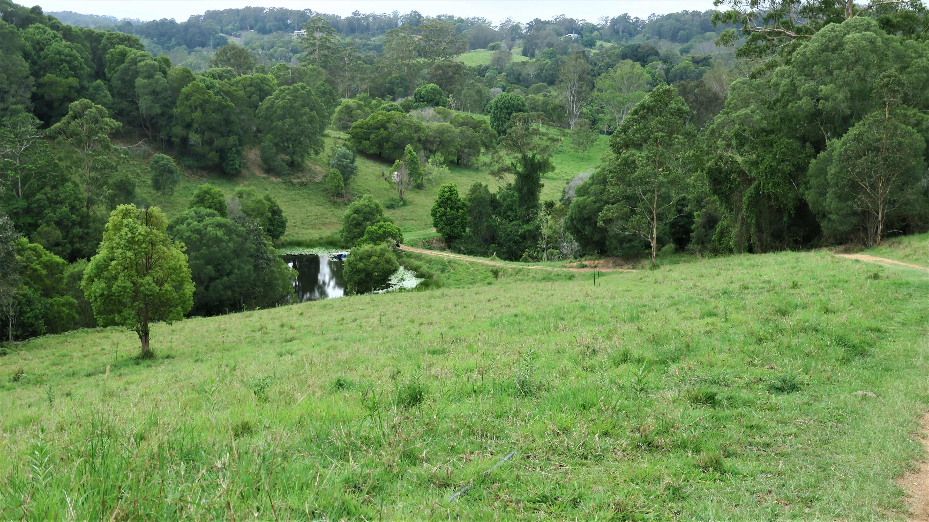 Bunya Ridge Nature Camp