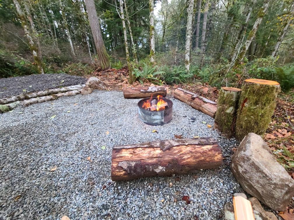 Cedar stump RV campsite