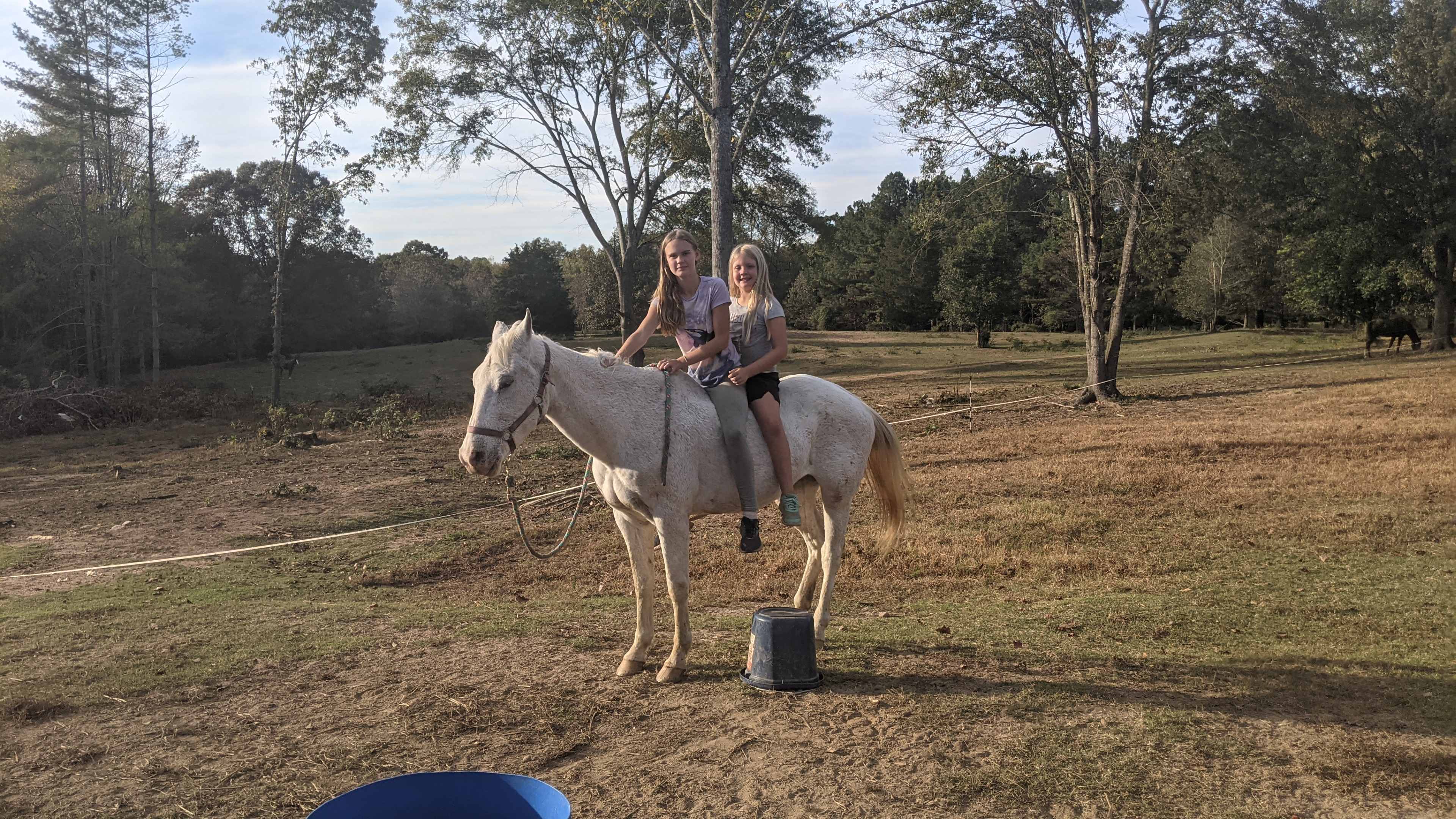 Oak Creek Horse Farm