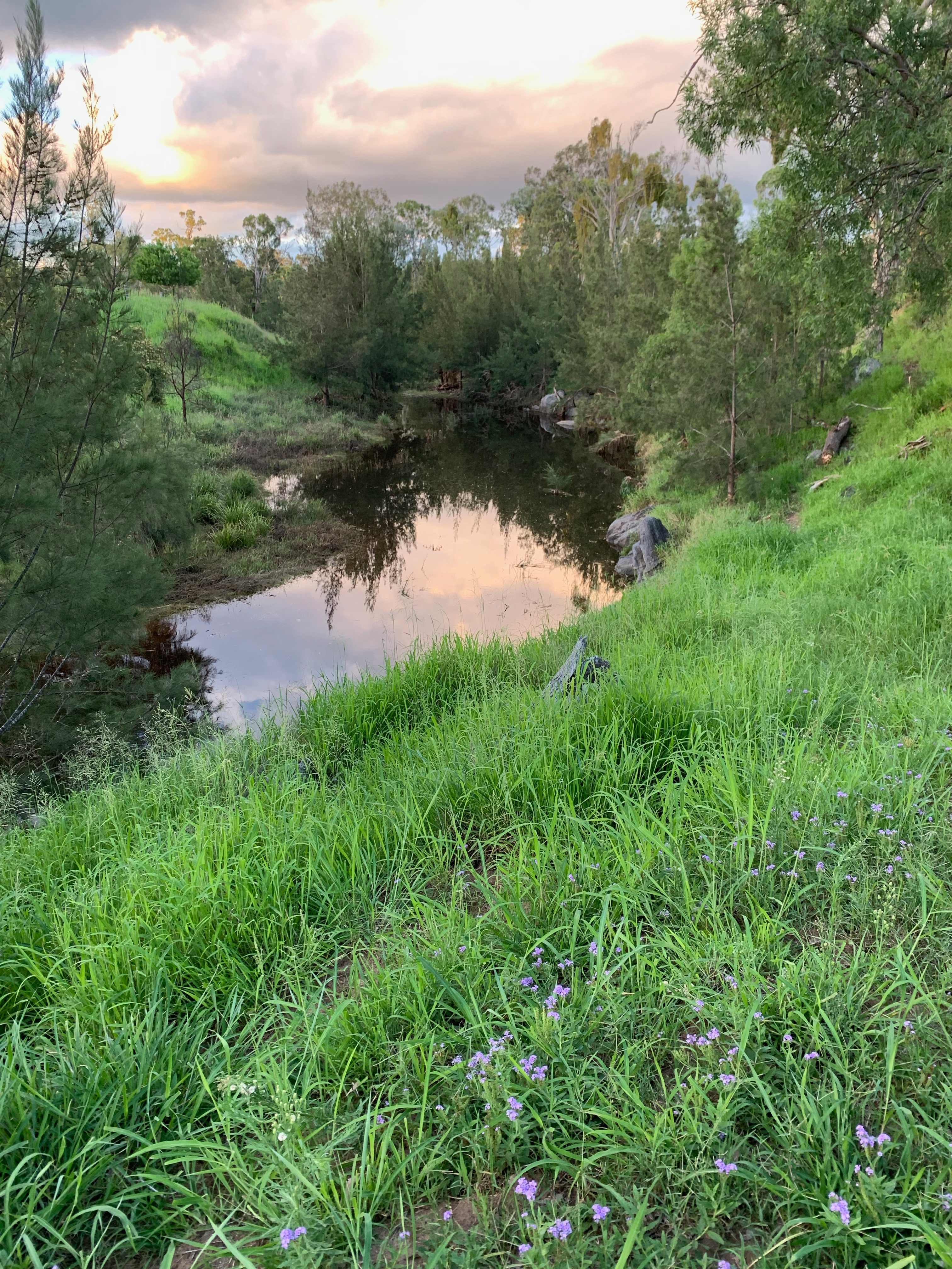 The platypus hole